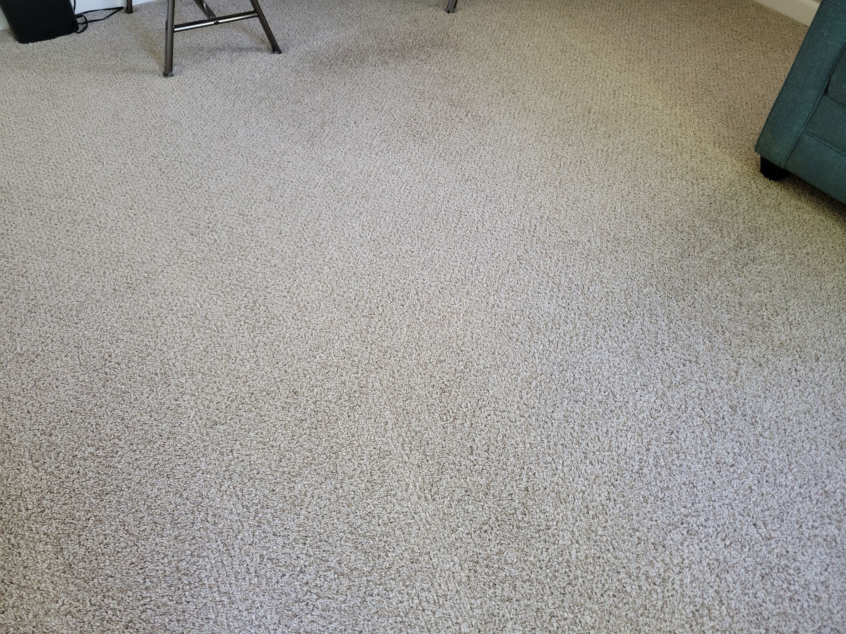 Pet Stain Treatment and Carpet Cleaning by Ardent Carpet Restore LLC