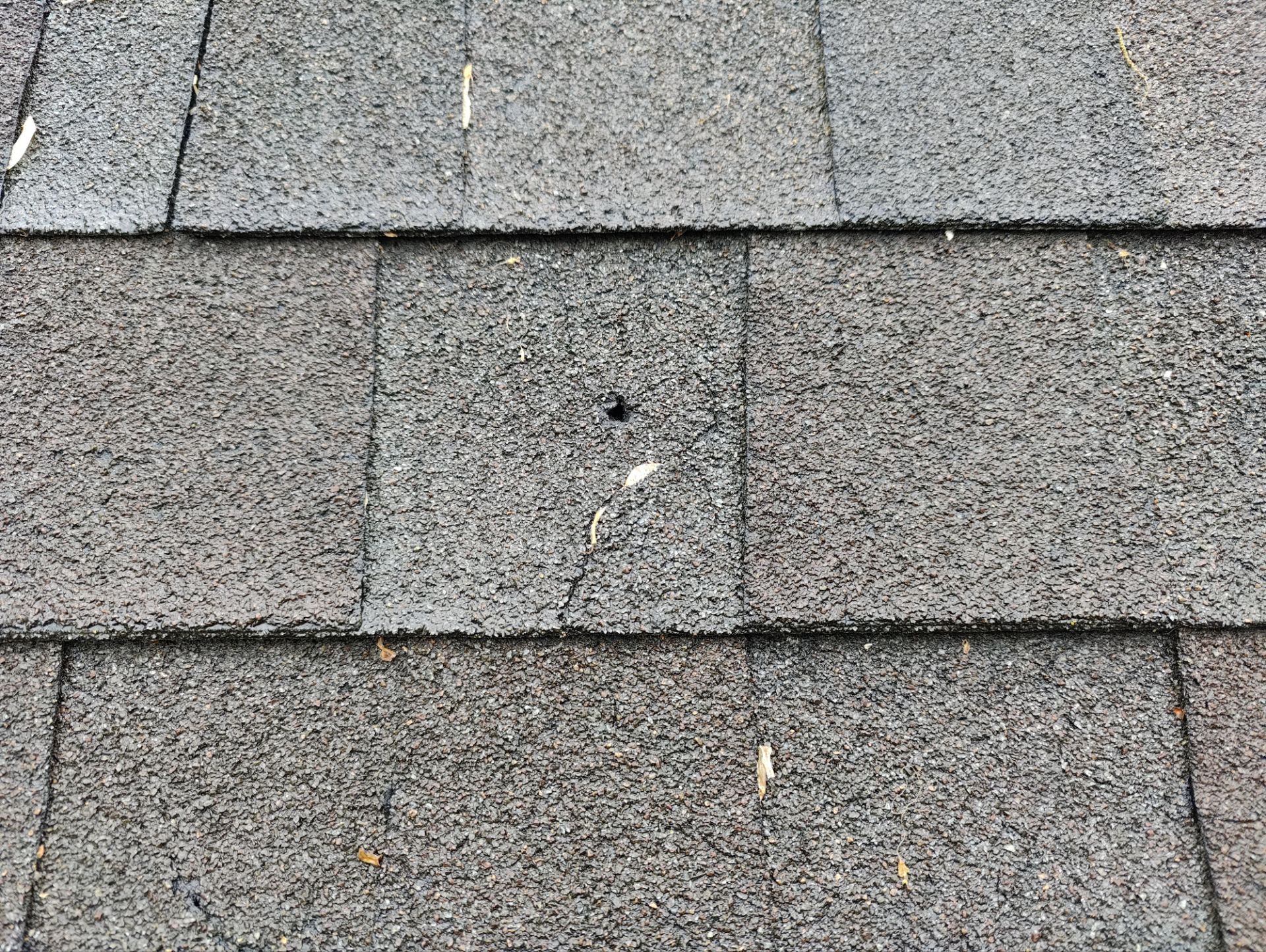 Roof Replacement using CertainTeed Landmark Max Def Shenandoah by 180 Contractors