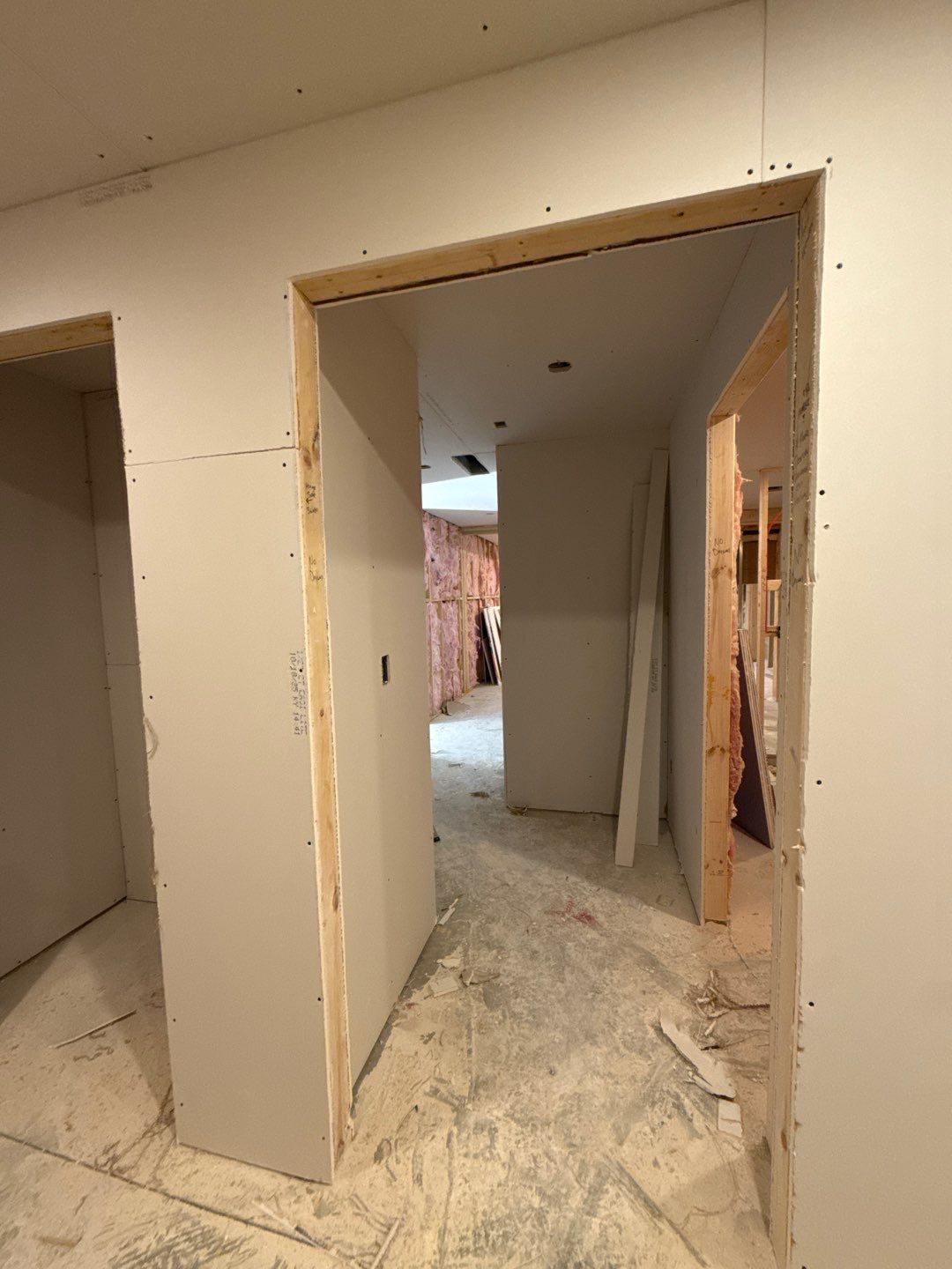 Basement Finishing Project with Home Gym and Sauna in Prospect by Authentic Carpentry