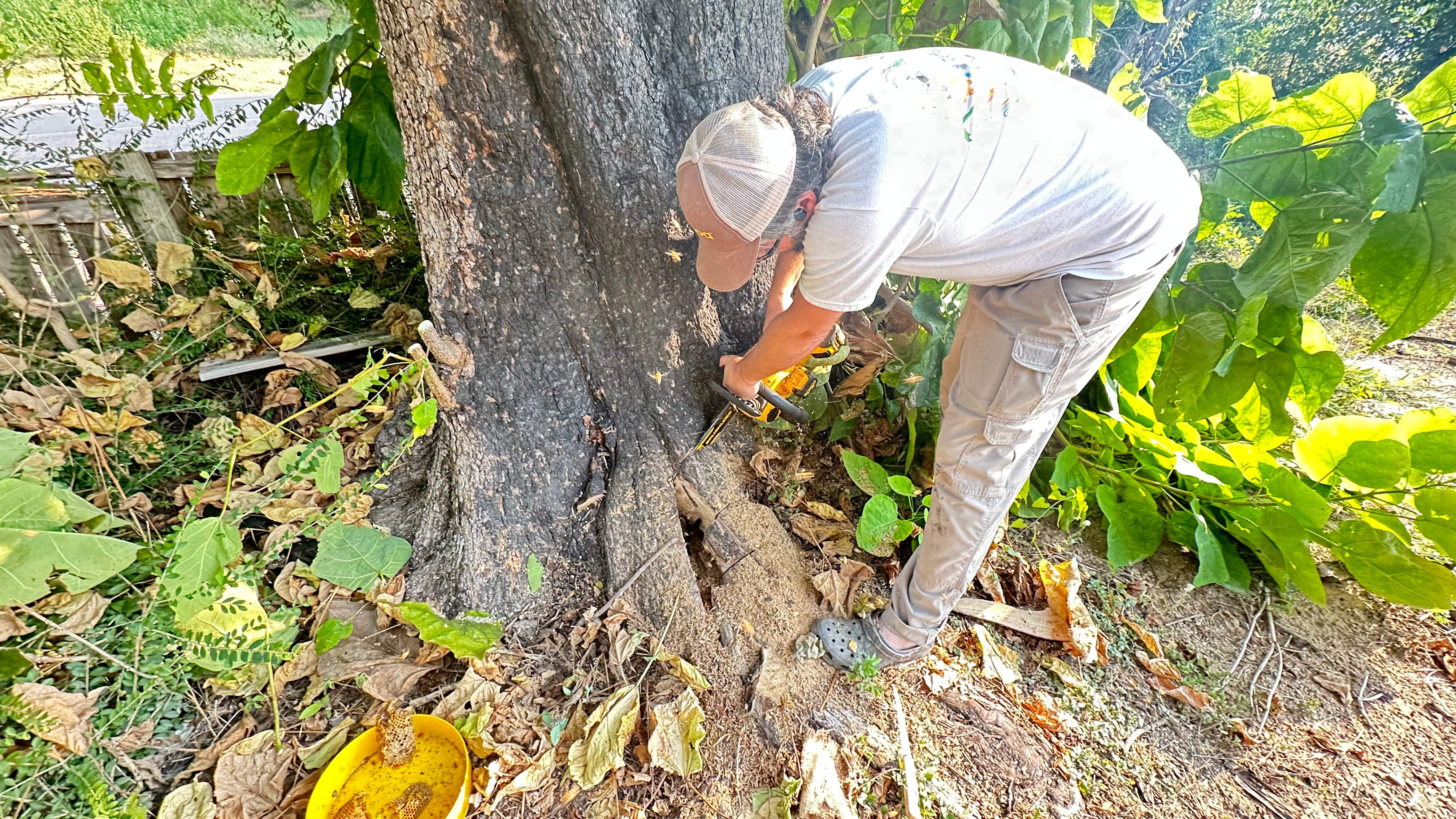 City Tree Company  by Rockwall Honey Bee Company