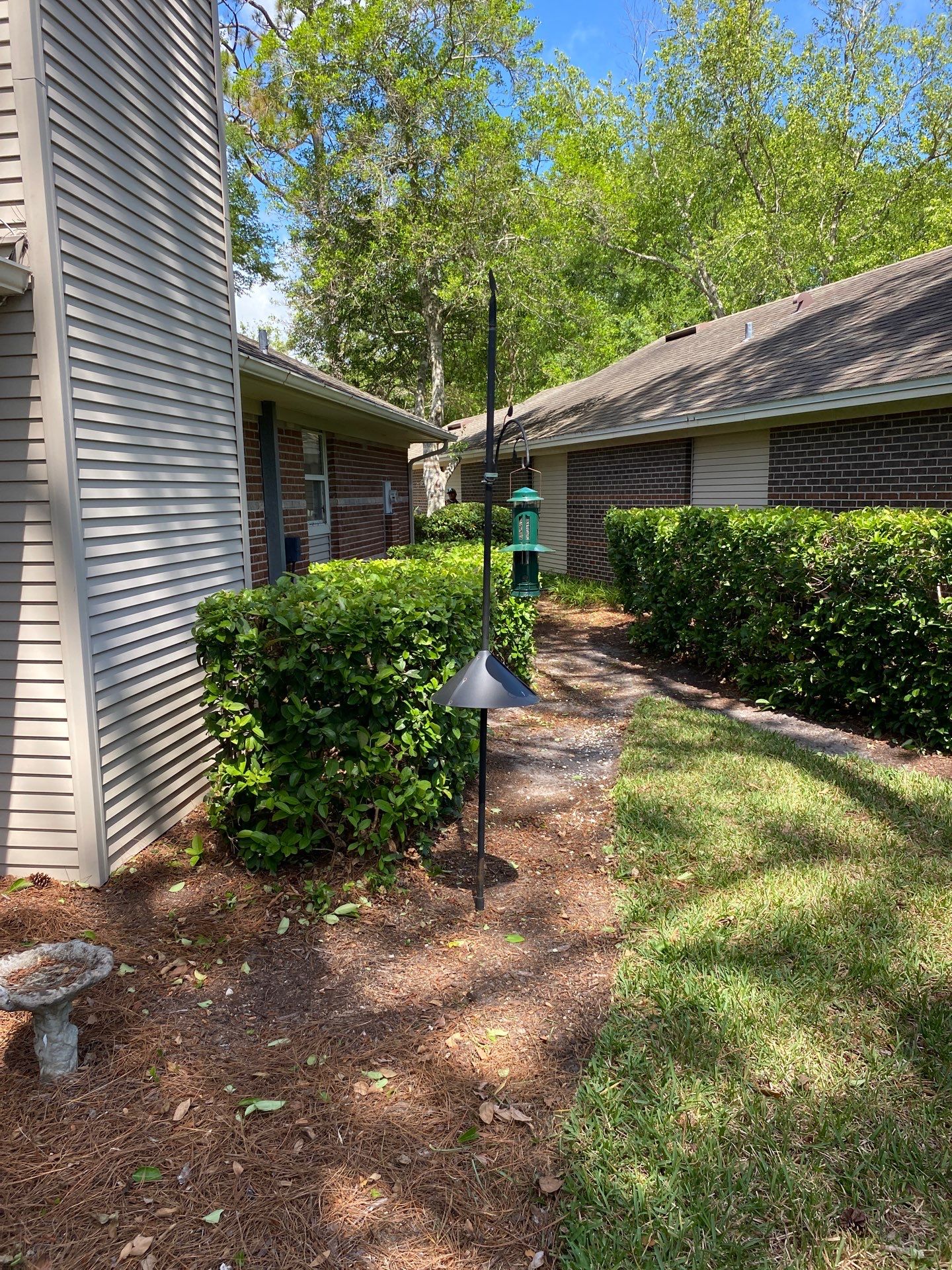 Residential | Volunteer Clean-Up by ProGreen Services