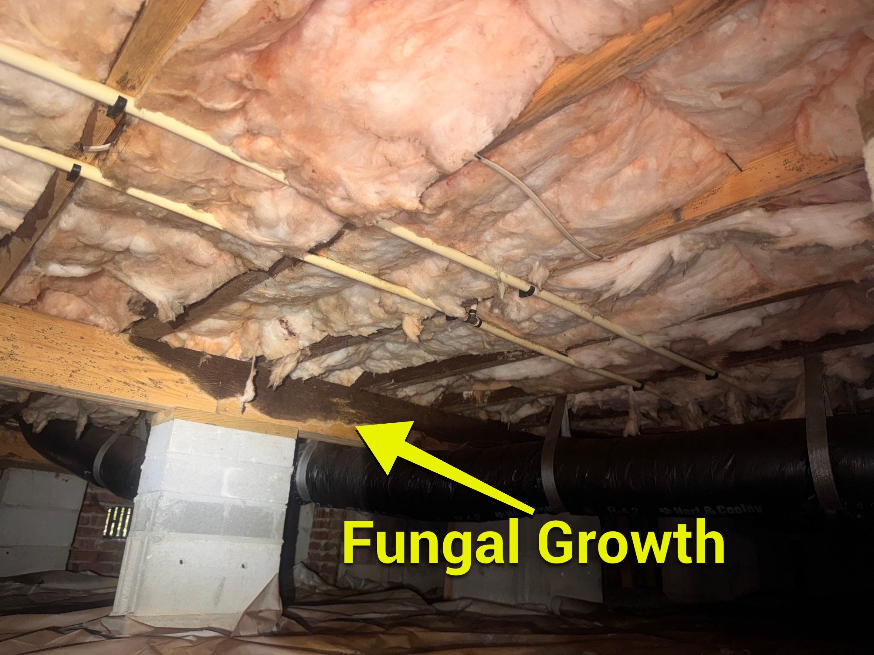 Moisture Barrier, Mold Clean, Structural Repair, Dehumidifier, R19 Insulation. by Impact Crawlspace