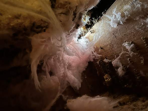 Between Floors by Rockwall Honey Bee Company