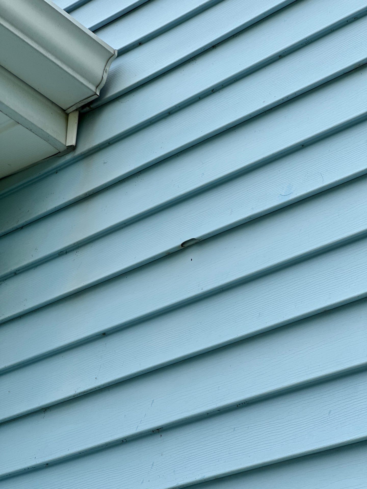Solid Hail Damage - 3 Tab by Paragon Roofing