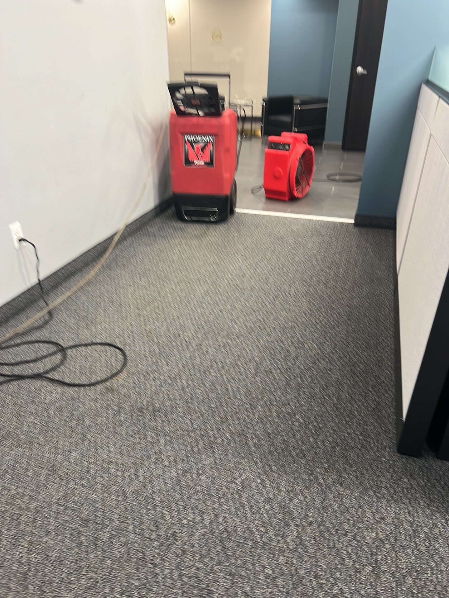 Project in Southfield by EzDry Water Mitigation & Property Restoration