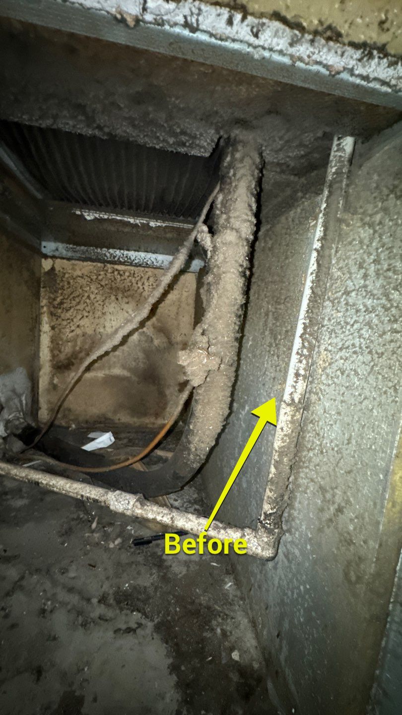 Commercial Air Duct Cleaning in Tavares by Hygienic Air, Inc
