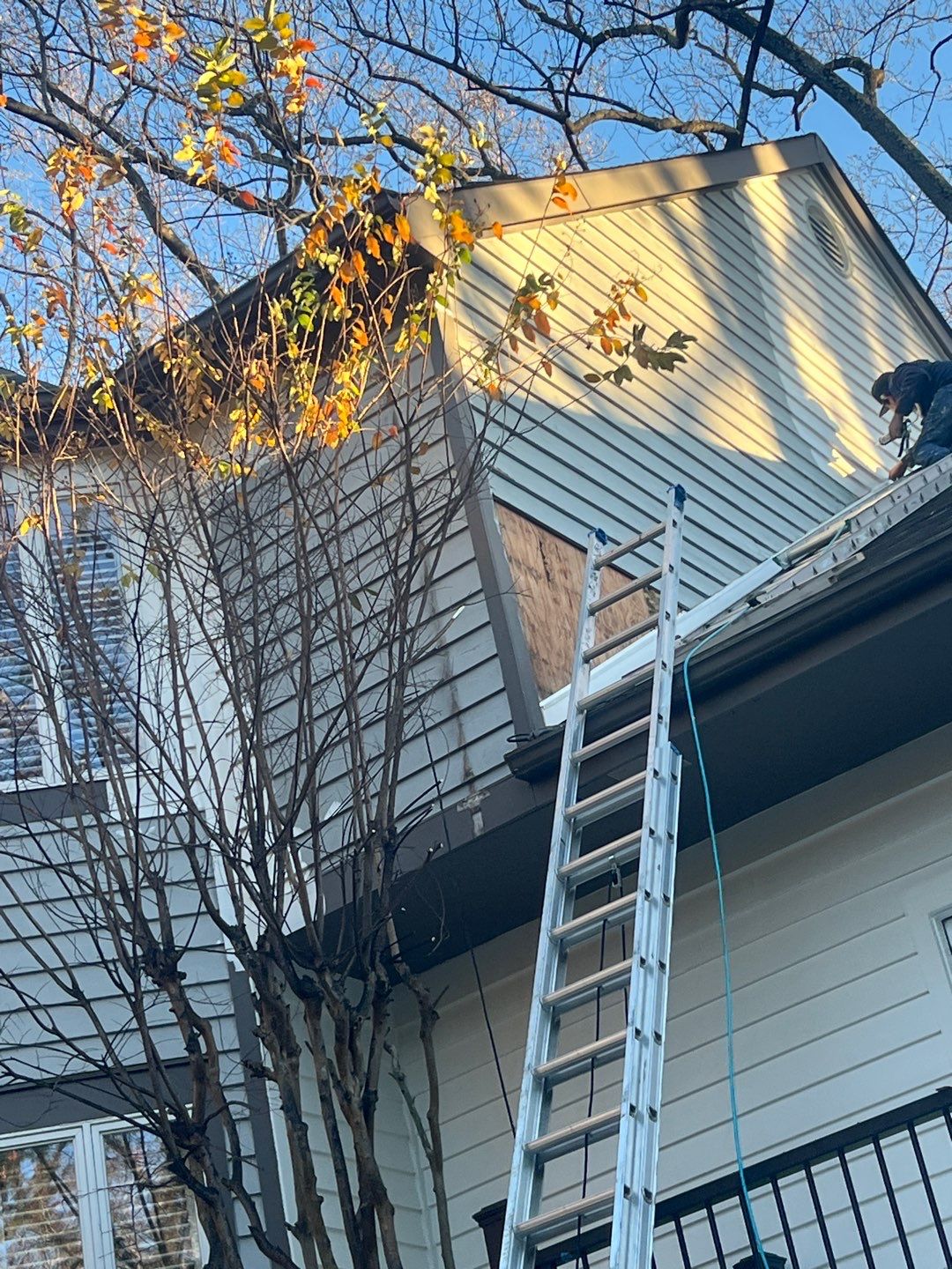 Arlington: Bevel Cedar Wood Siding Restoration by RM Banning, Inc.