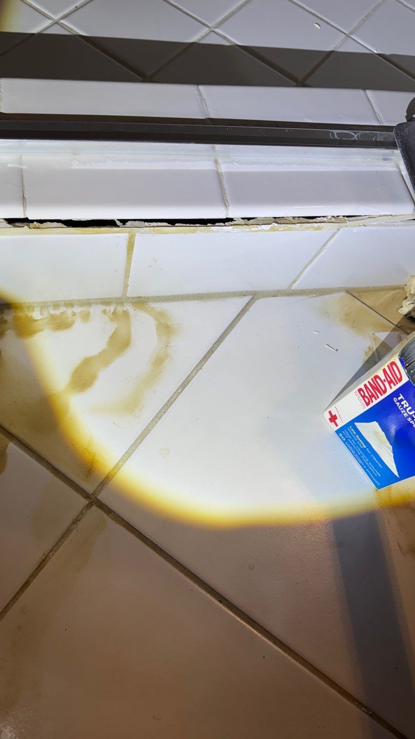 Mold Project in Englewood by Accountable Home Services