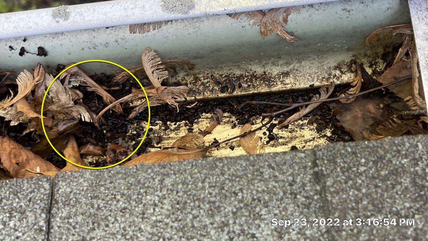 Roof Repair and Replacement in MA by Master Roof Inc