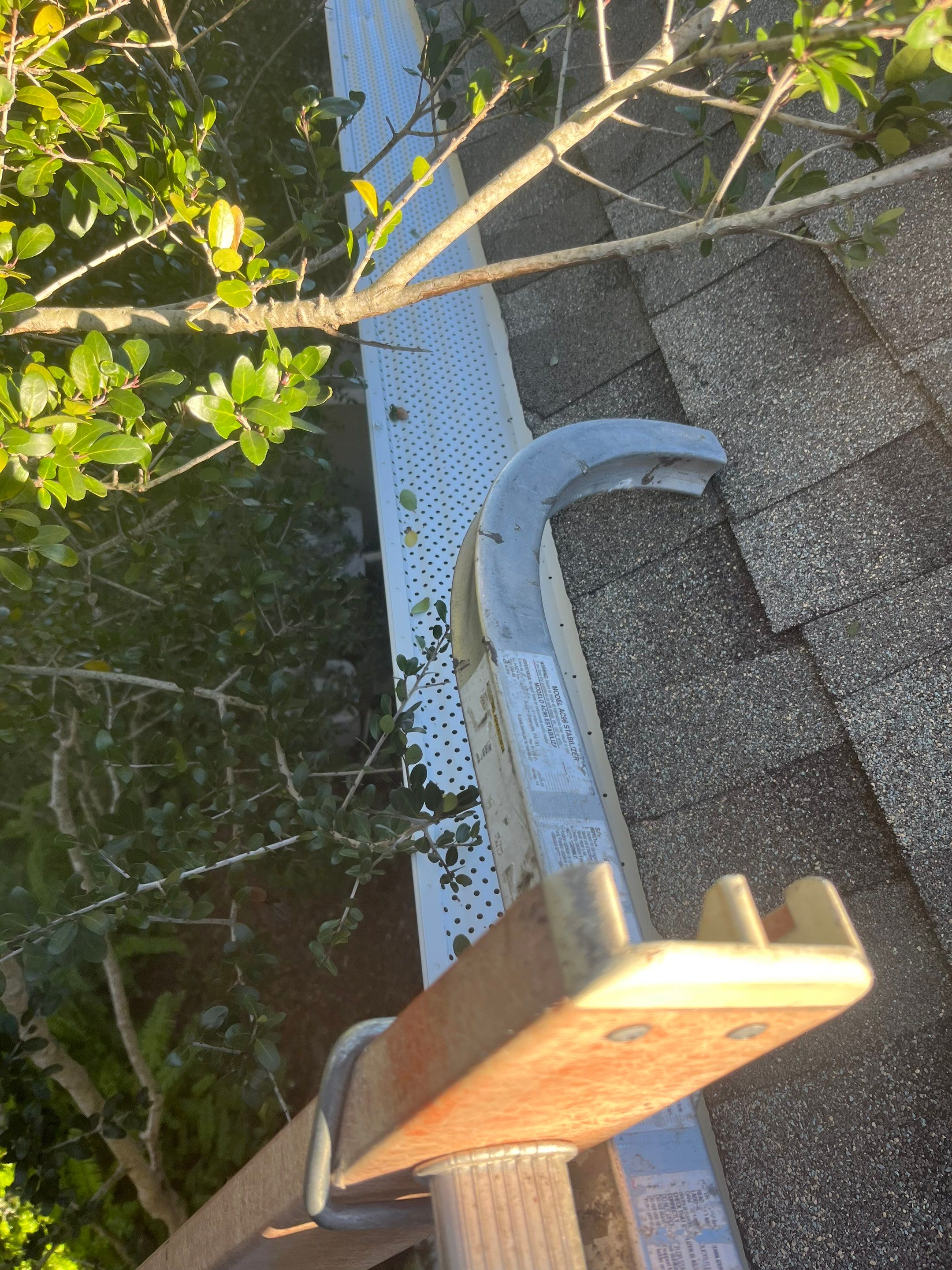 Gutter Cleaning Service in Fort Myers FL by Gutter Professors