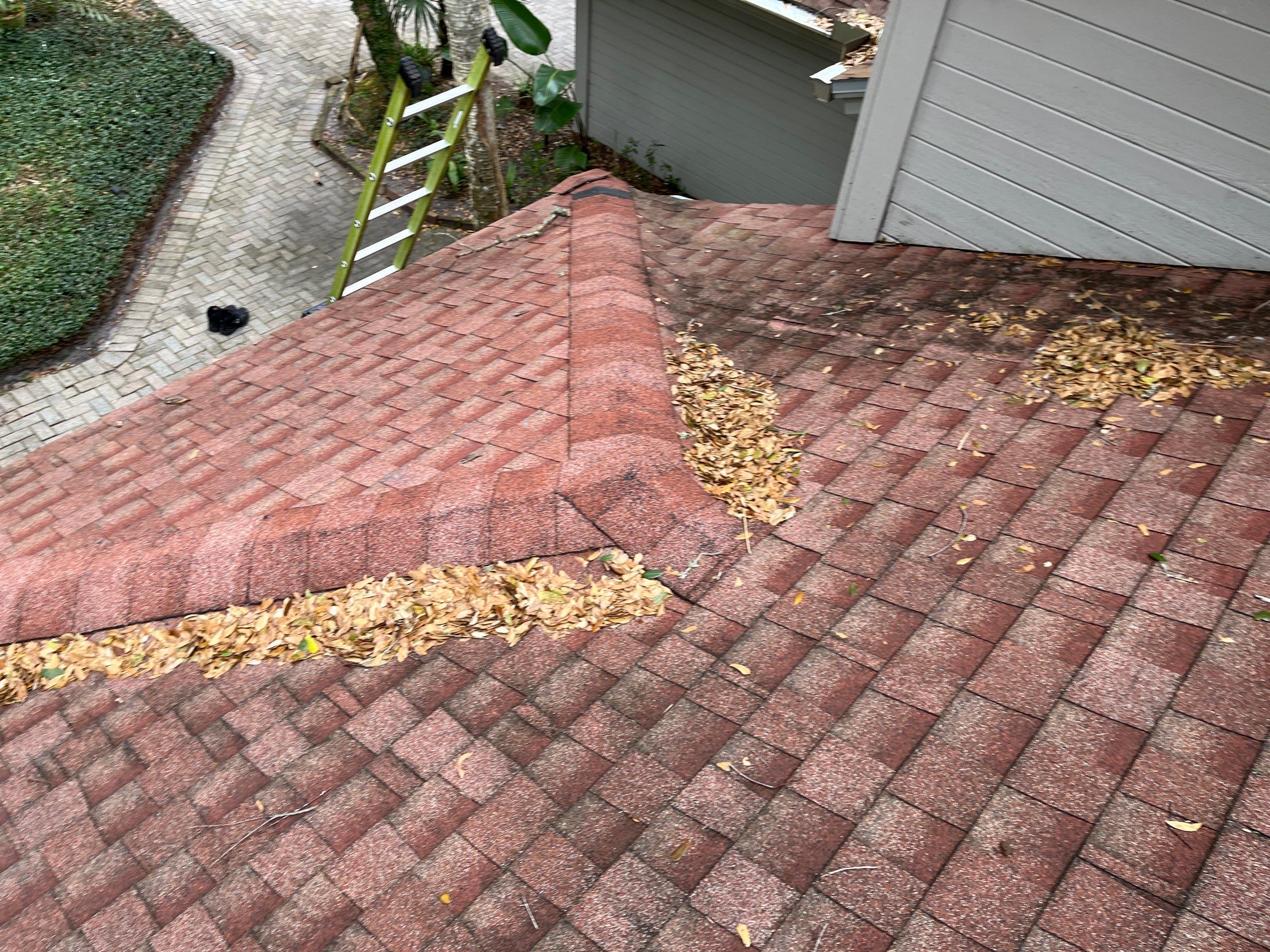 Shingle -> Shingle by Prime Roofing