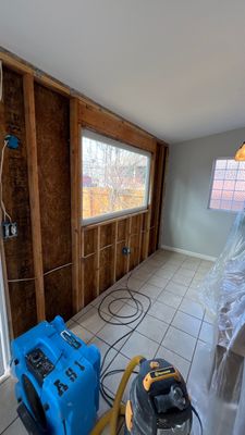 Mold Remediation