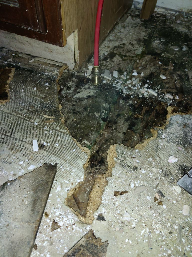 Mold Remediation in Kitchen by Accountable Home Services