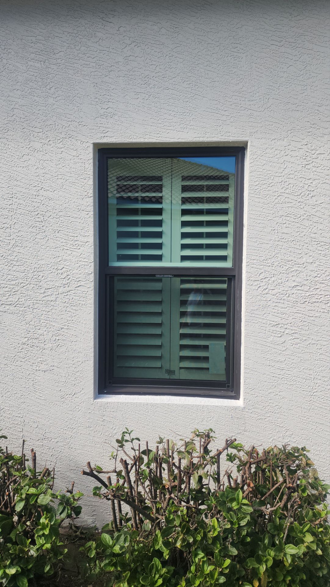 Window Installation using PGT Vinyl White-Bronze by Windows For Life 