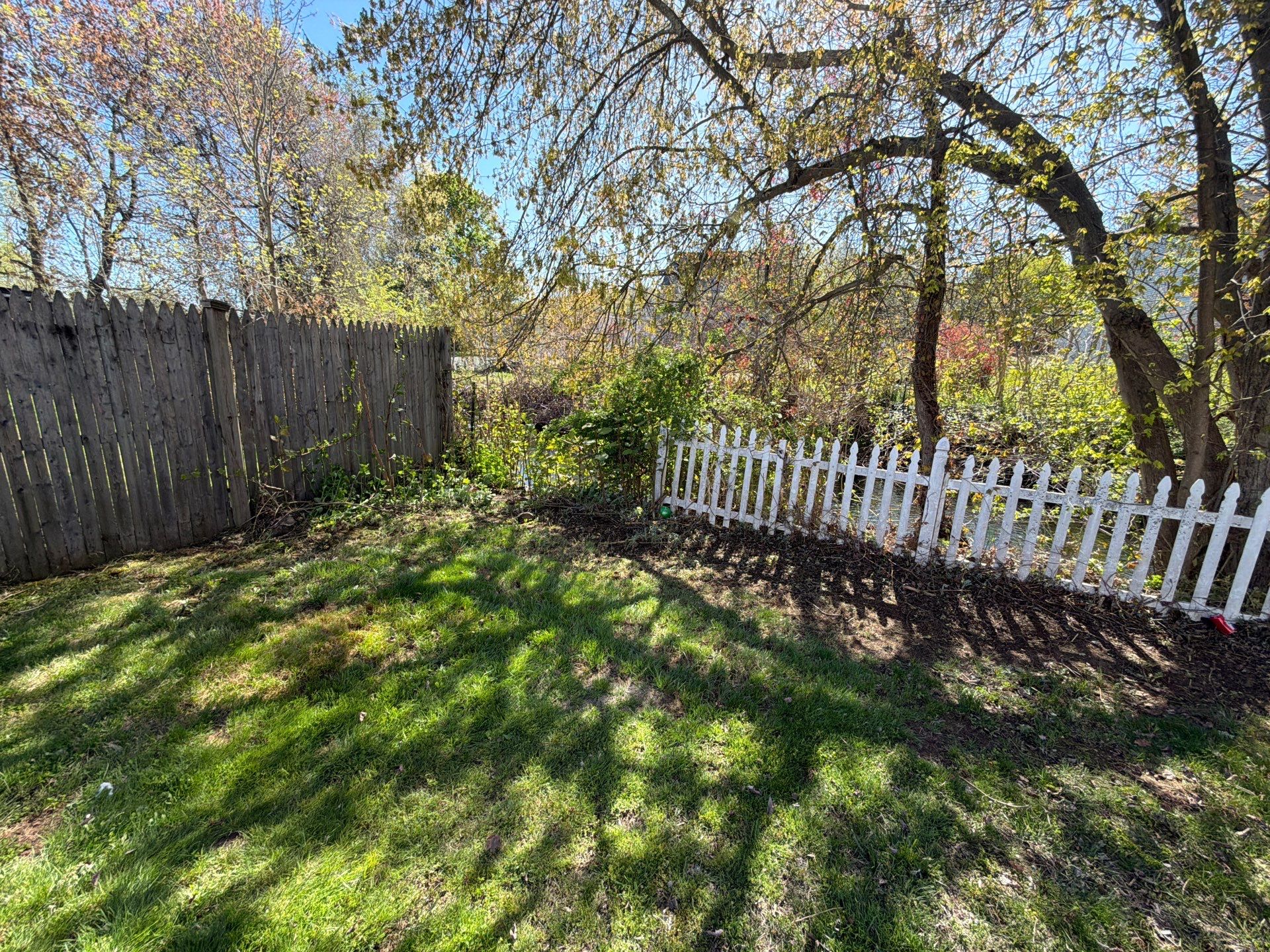 Residential Landscape Refresh and Stone Paver Bed Edging in Woodbridge by Diamond Image LLC