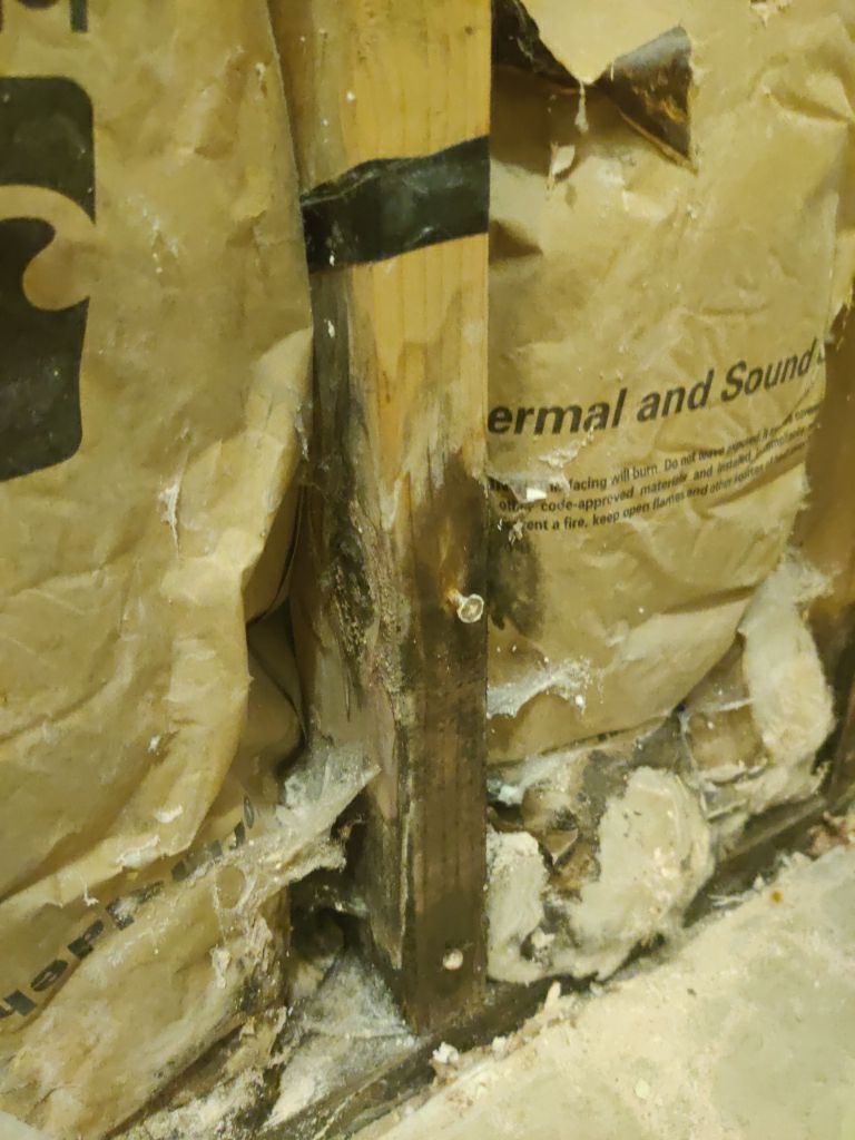 Water Damage Repair by Accountable Home Services