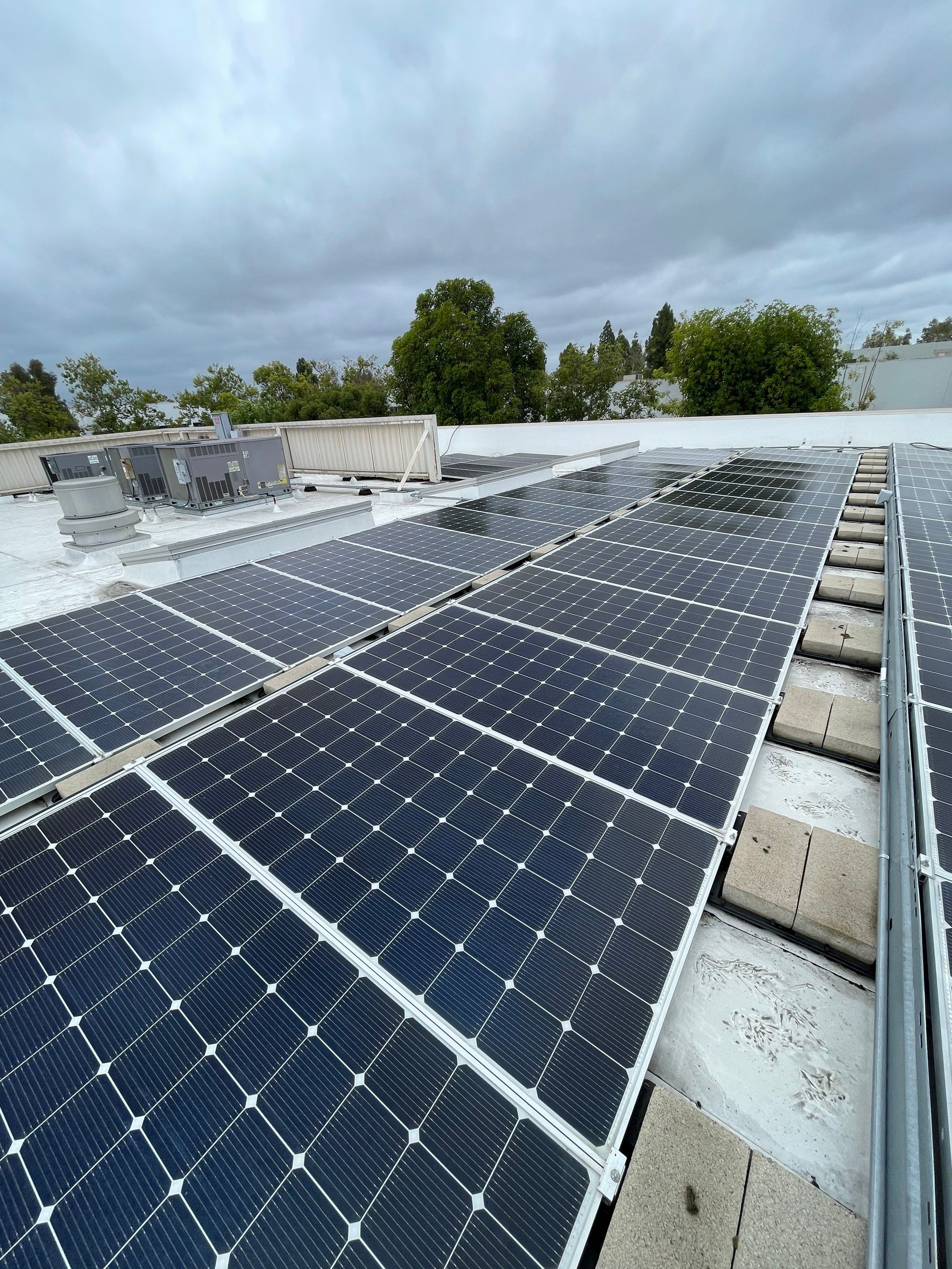 Commercial Solar Cleaning by Palm Coast Solar Cleaning