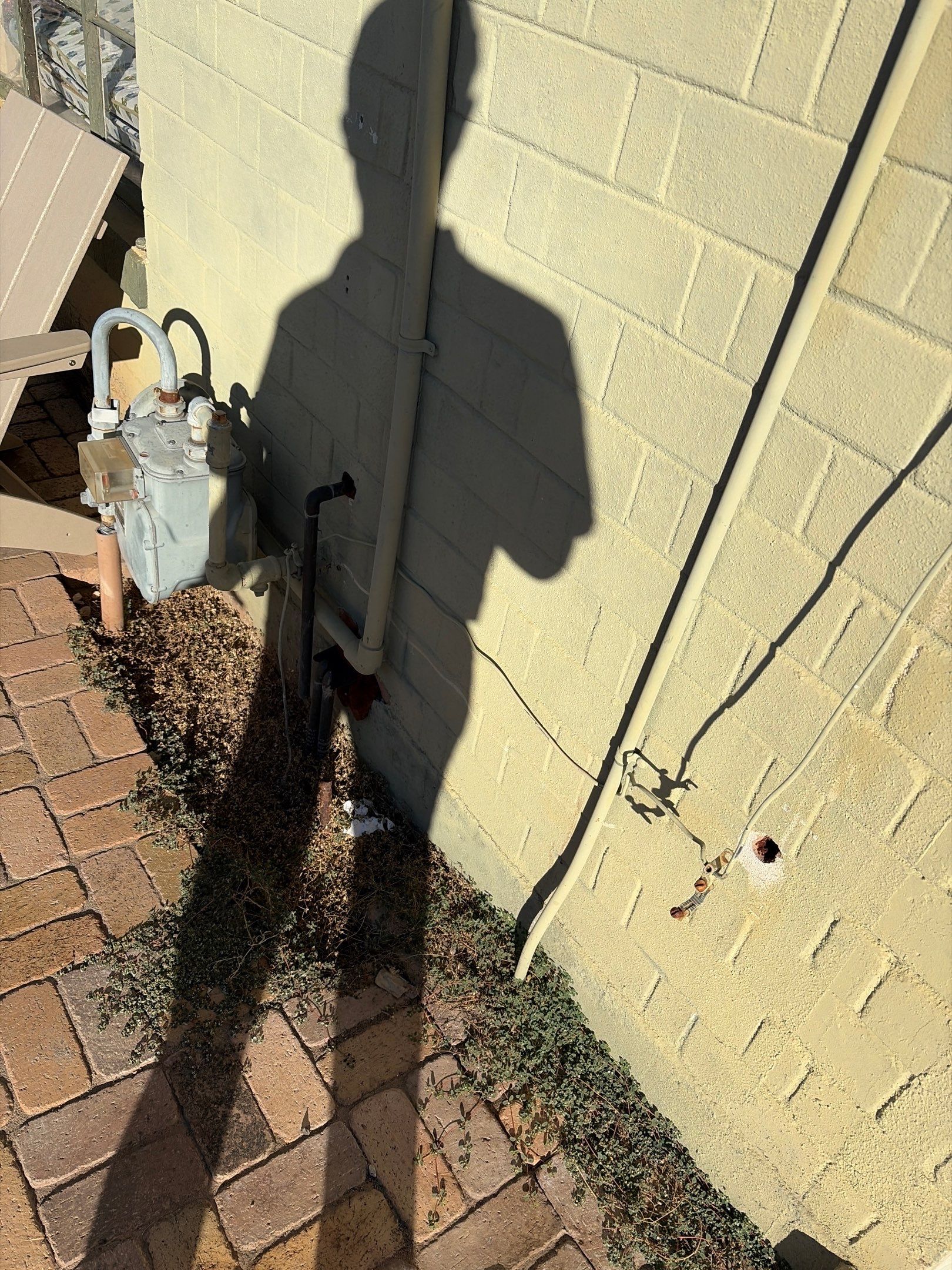 Orange Gator Electric Phoenix featured photo.