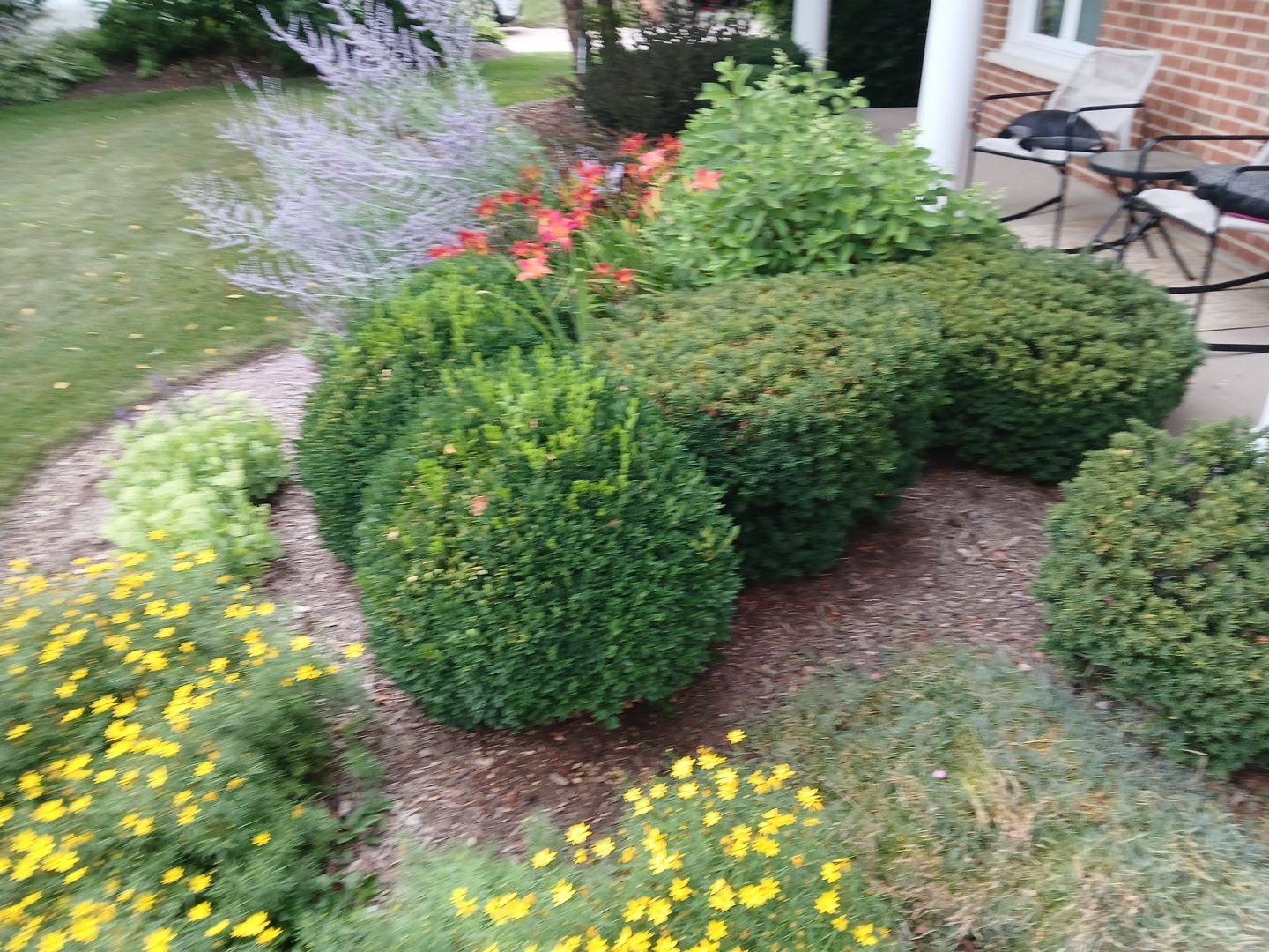 Michael I. - Glenview, IL by A&N 