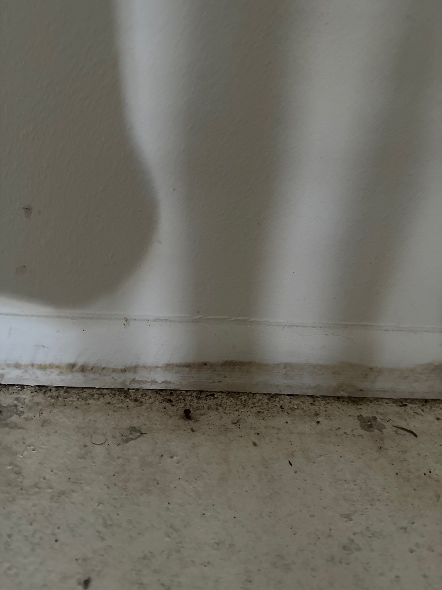 Mold Assessment using IR Camera, Moisture Meter, Air Cassette samples and Tape lifts by Building performance Solutions LLC