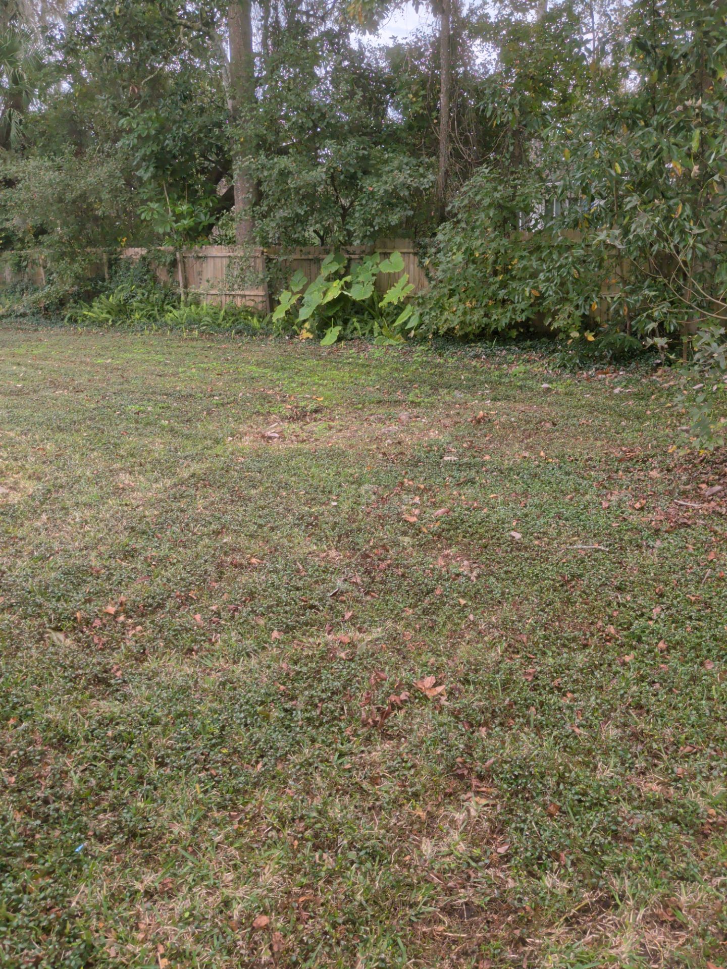 Pressure Washing/Soft Wash & Lawn Care Service — Jacksonville Beach Area by Harmoni Home Services