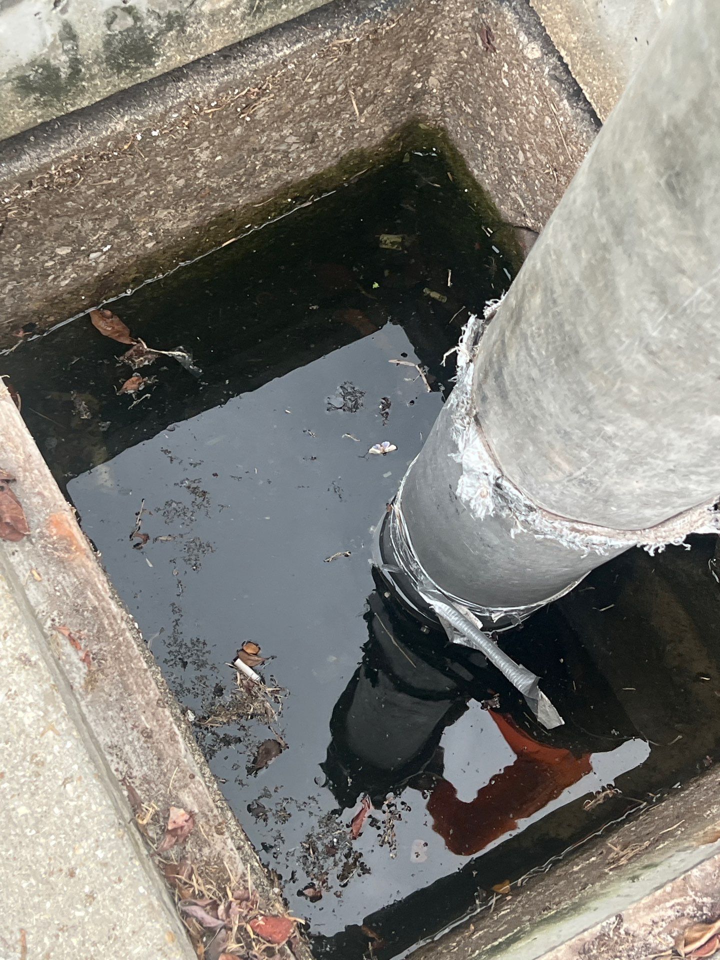 Stromwater System Maintenance at Bill Smith Appliances / Critter Cafe Marco Island Catch Basin by Don Mar, Inc. Storm Water Solutions