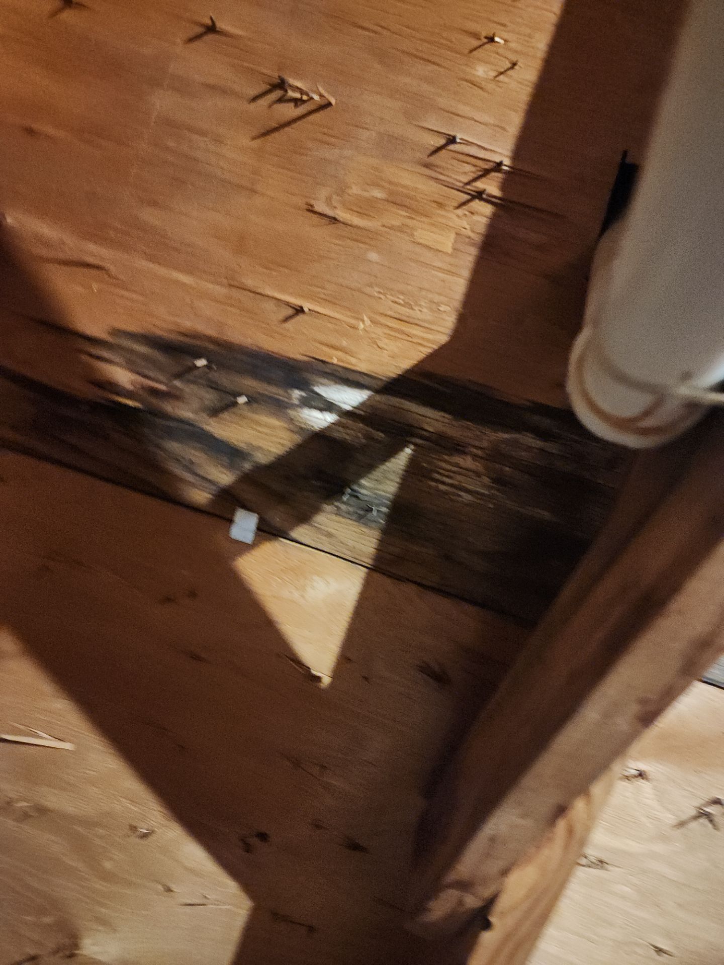 Hail Damage using Owen's Corning Duration (Lifetime) Shingles by Roof Repair Company