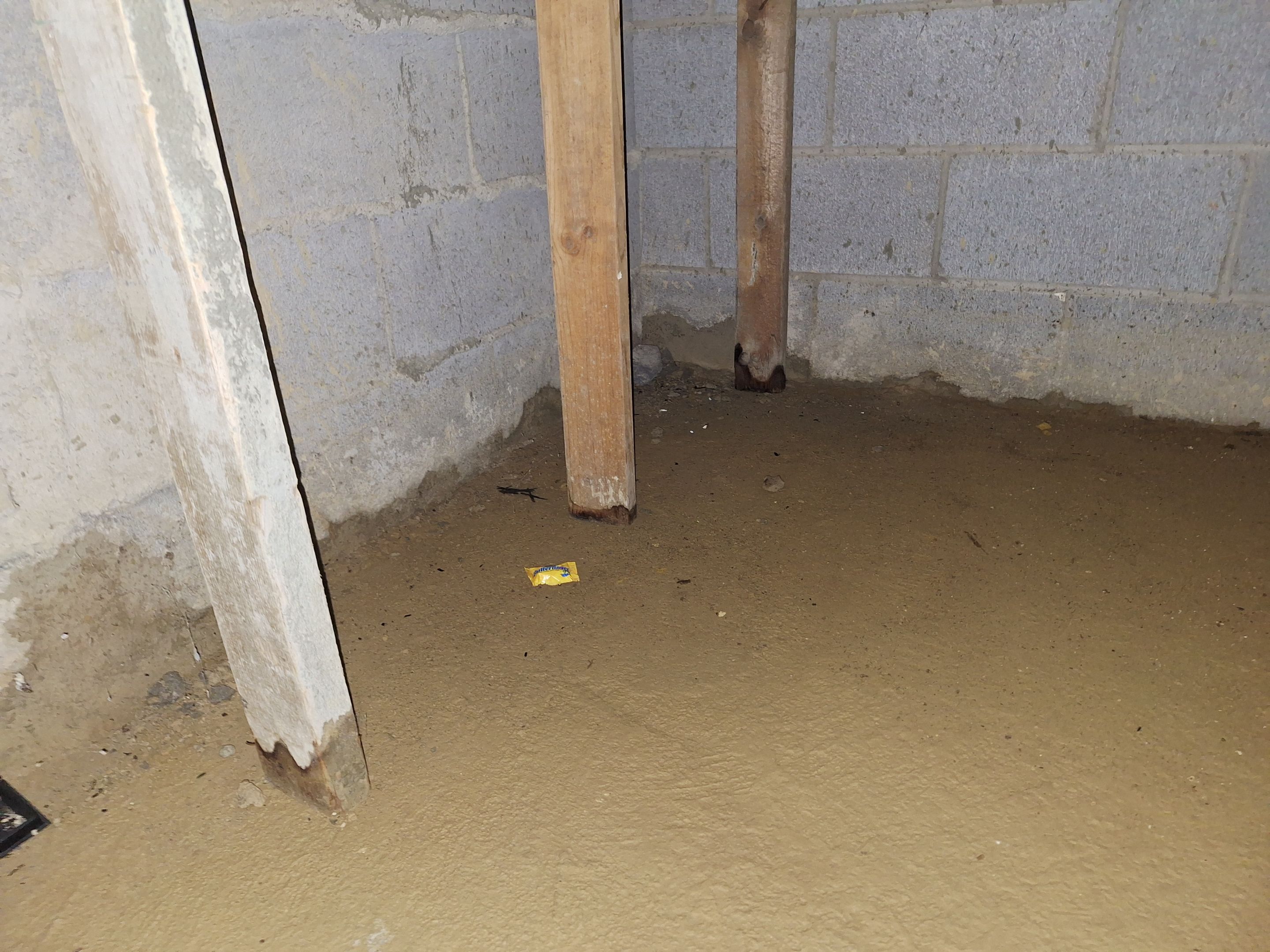 Basement Remediation by ANR Restoration