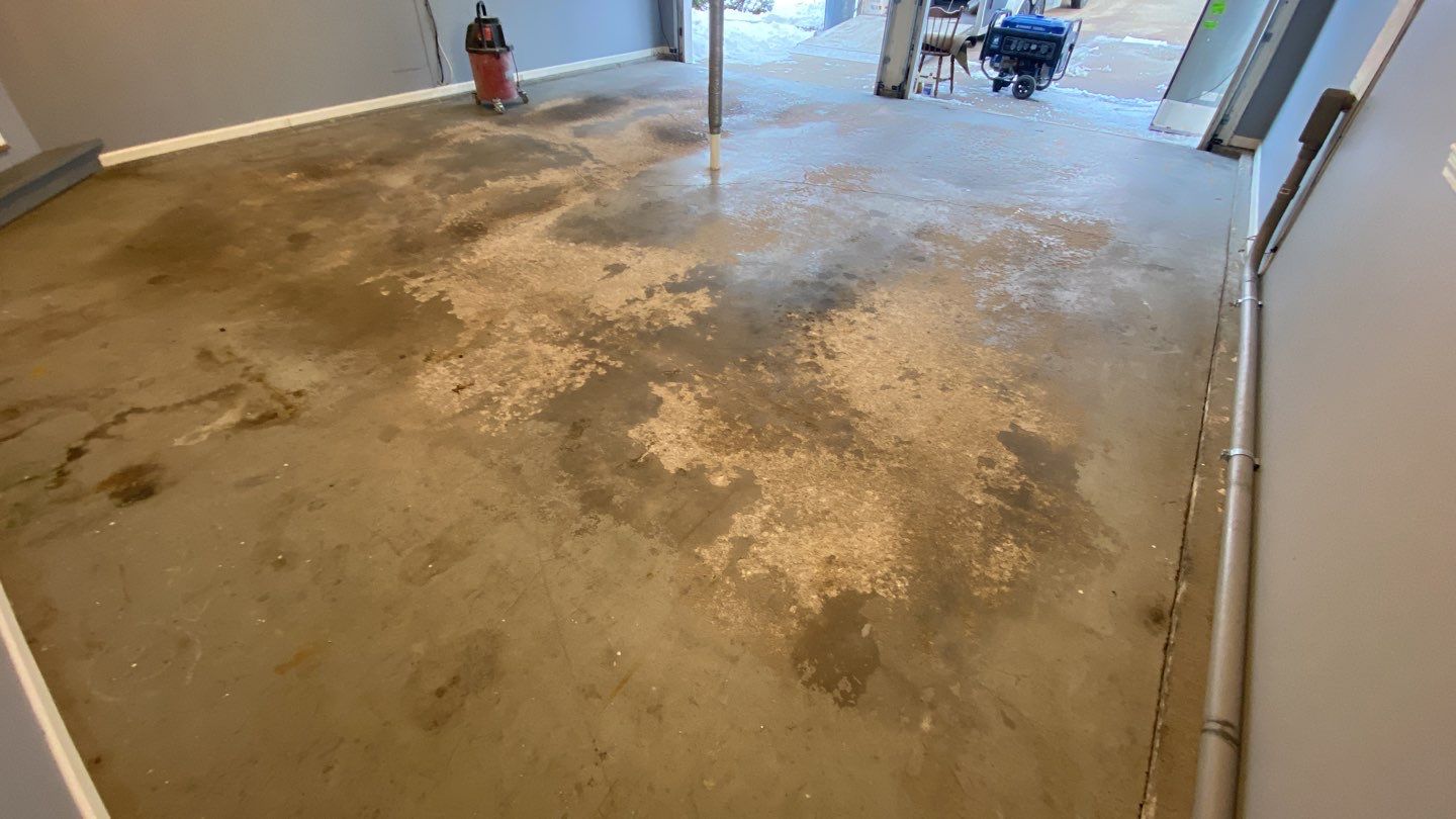 Garage using Domino  by Select Painting, Coatings & Garage Cabinets