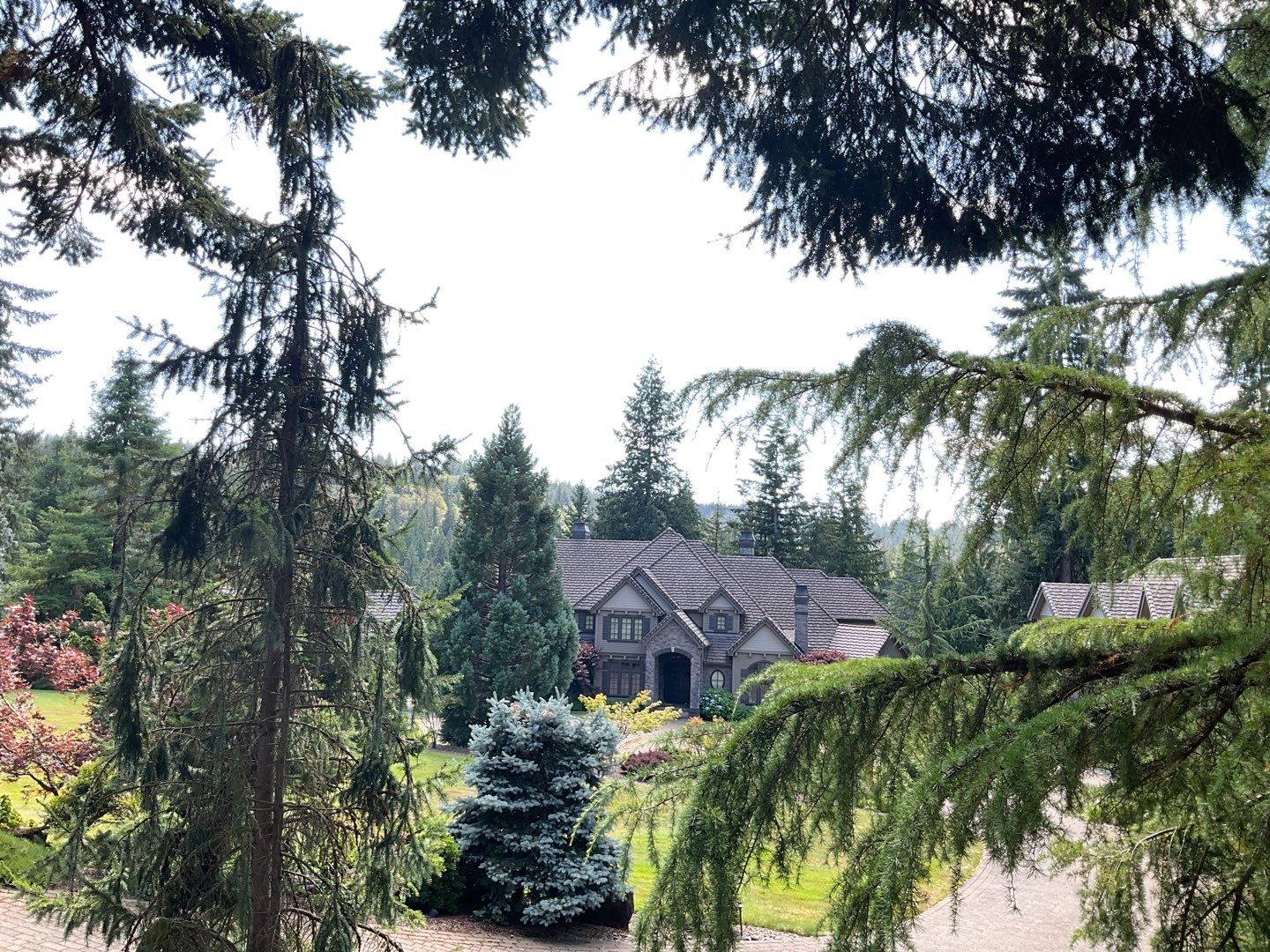 Moss Removal/ Treatment using Biocide by Willamette Outdoor Wash LLC