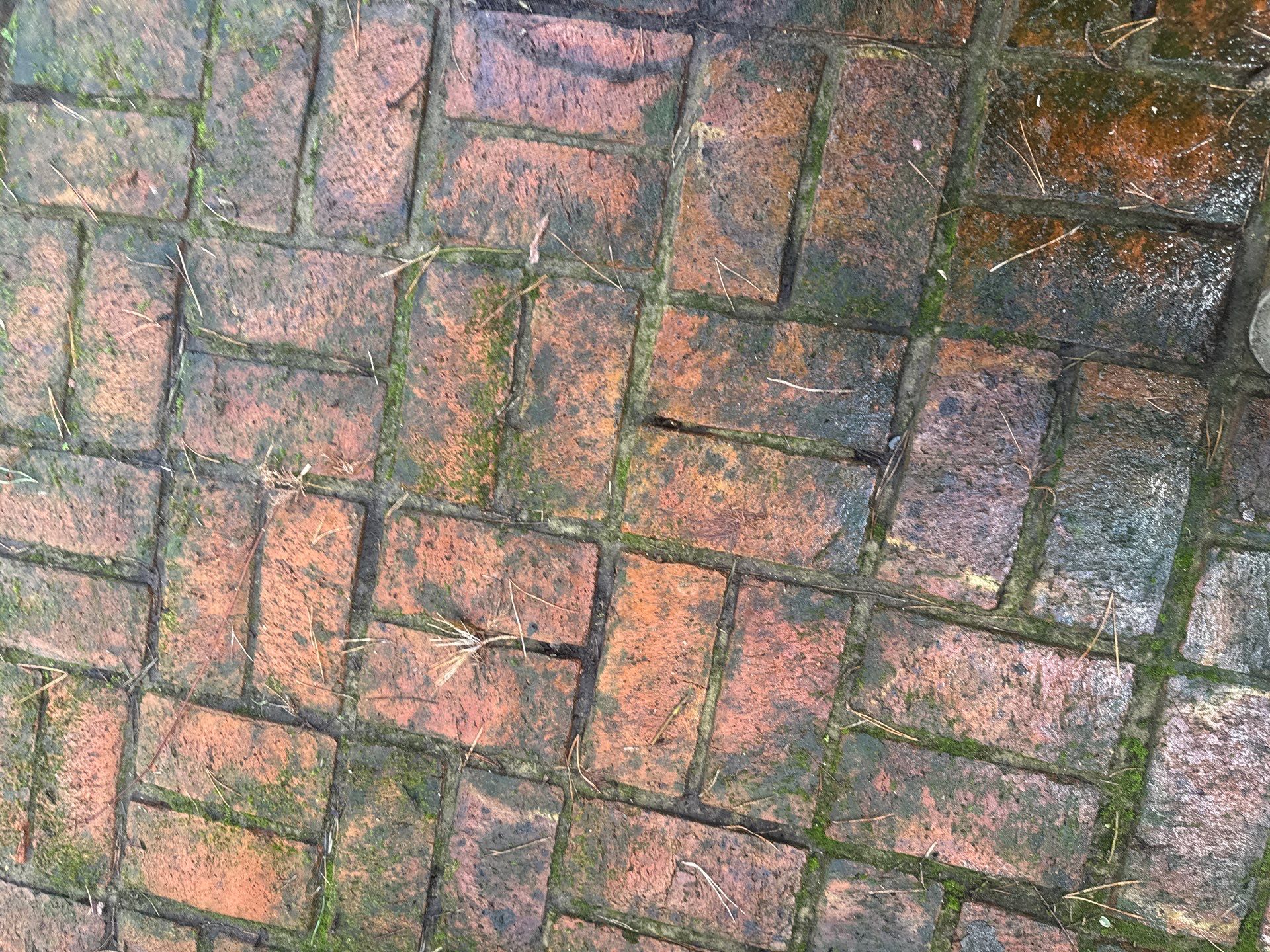 Roof - Driveway - Patio Clean using 18inch Whirlaway FSC by Ges Exterior Cleaning ltd