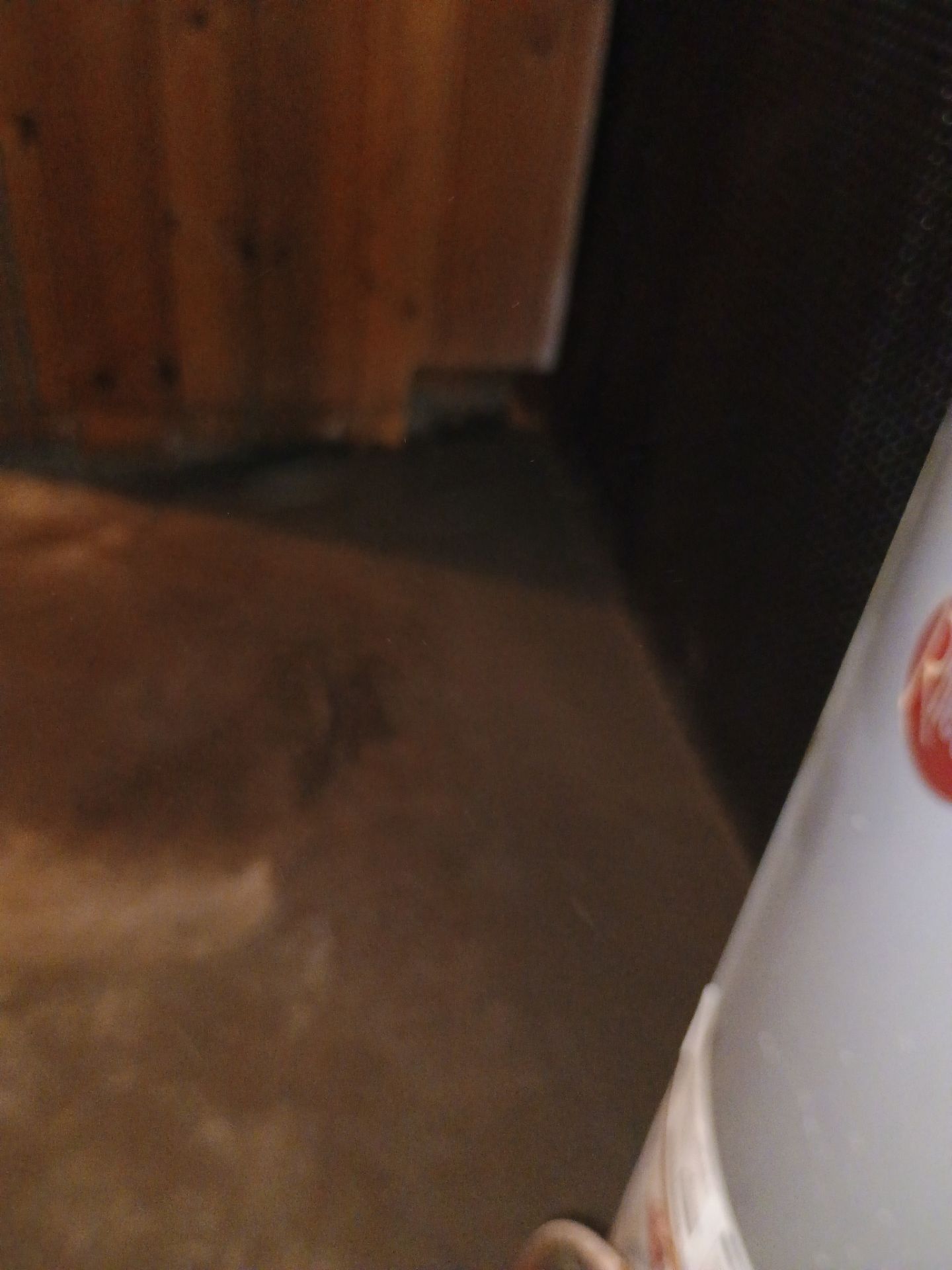 Updating Taylor's Waterproofing System by Waterproofing Northeast