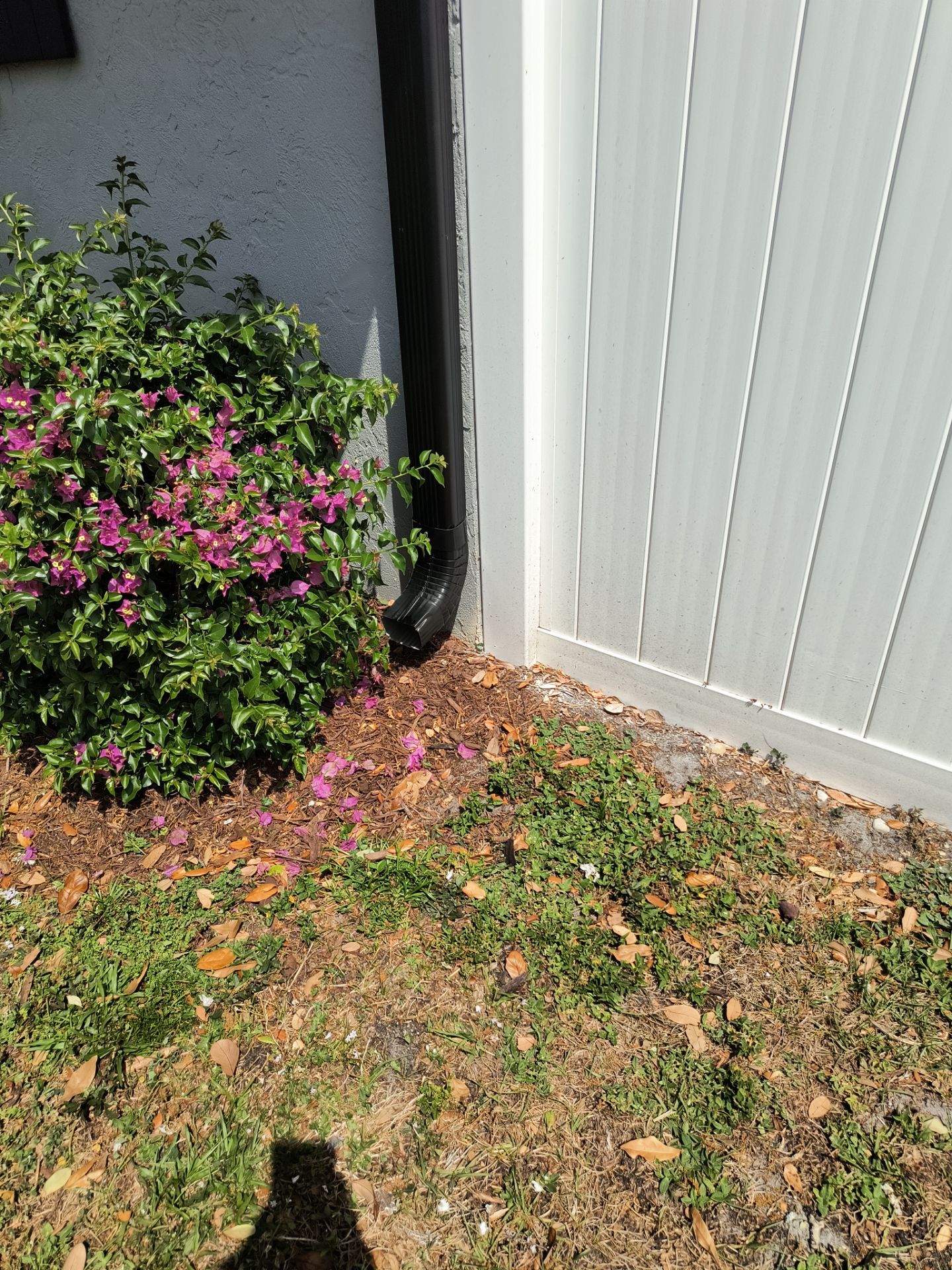 Black Seamless Gutters using 7 inch seamless gutters & New White Soffit in Sarasota FL by Gutter Professors