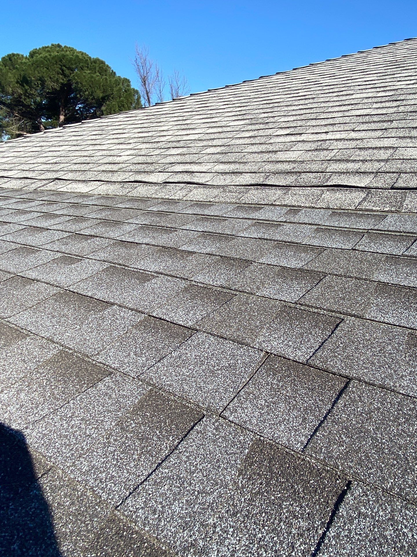 Roof Rejuvenation using Roof Maxx Treatment by Roof Maxx of Folsom