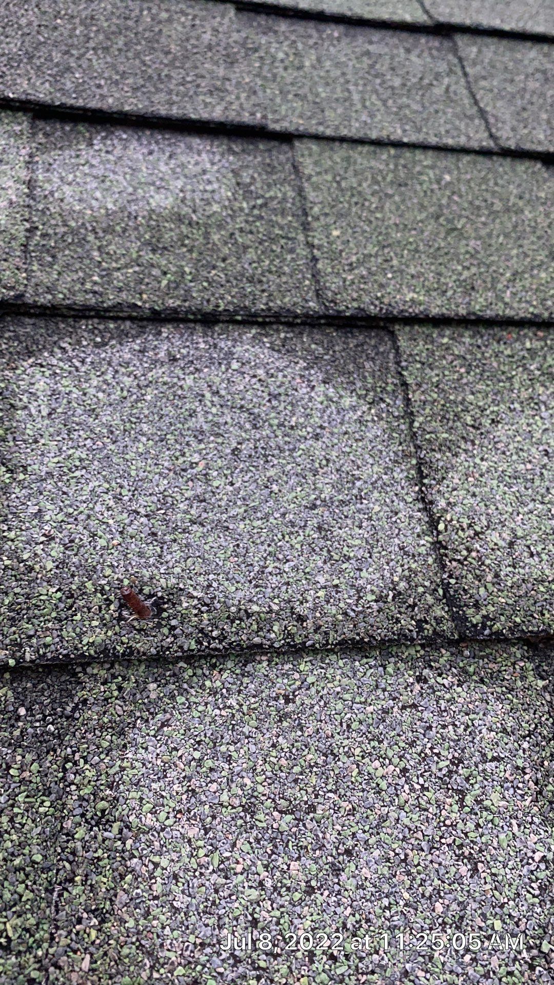 New Roof with Solar Panels by Just In Time Roofing and Restoration