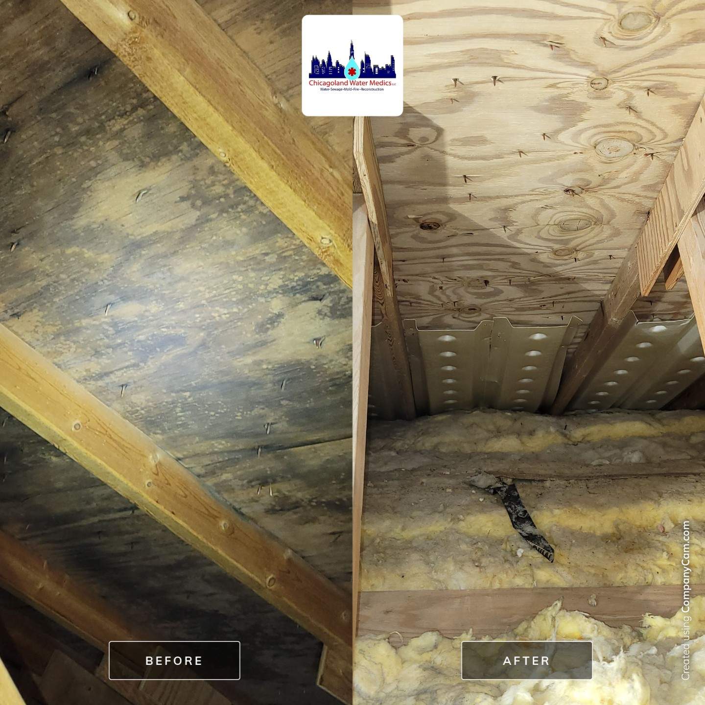Attic Mold Remediation by Chicagoland Water Medics