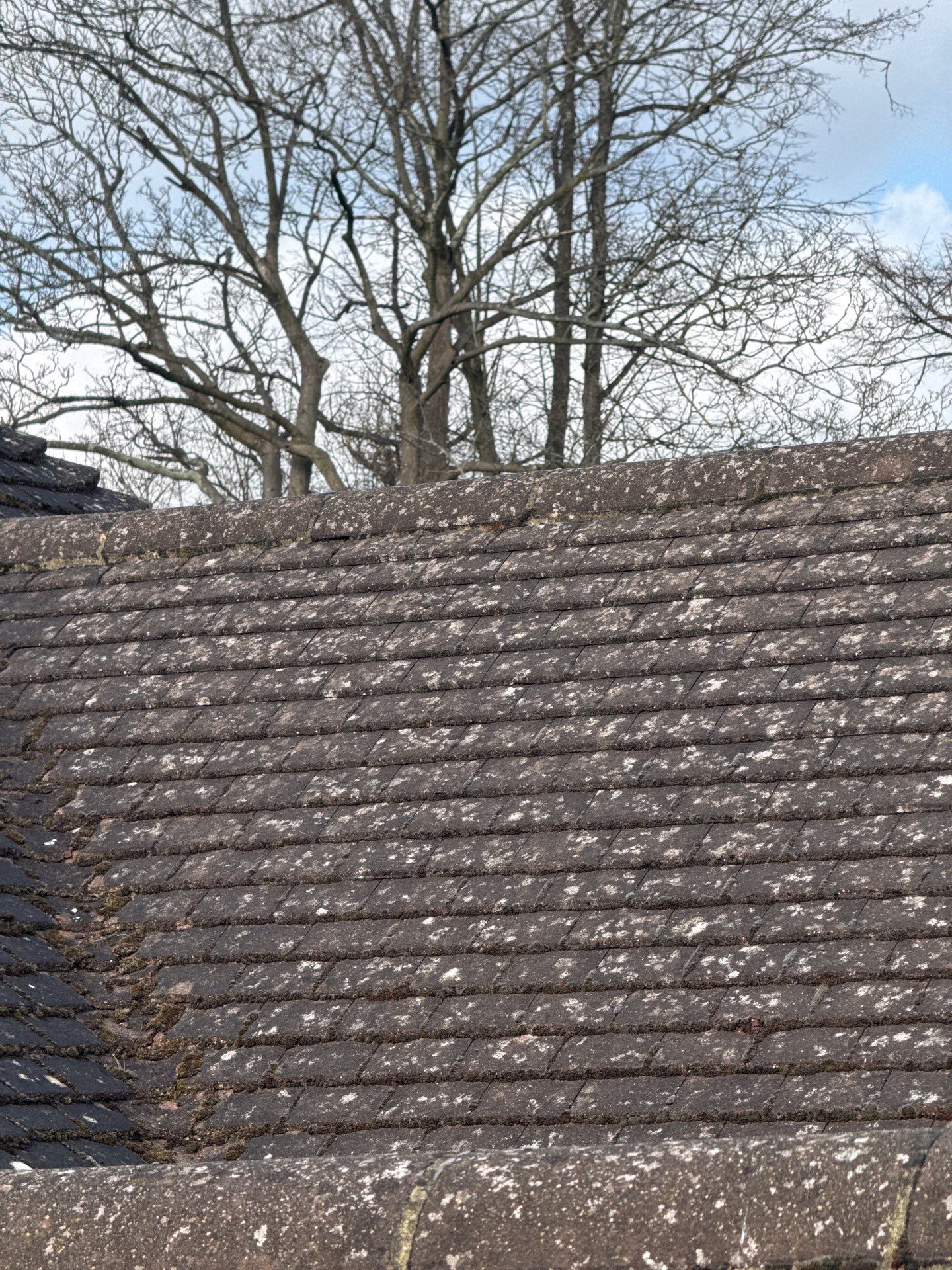 Roof Clean - Moss Removal - Gutter Clean using Honda 15lpm Low Pressure Washing Machine by Ges Exterior Cleaning ltd