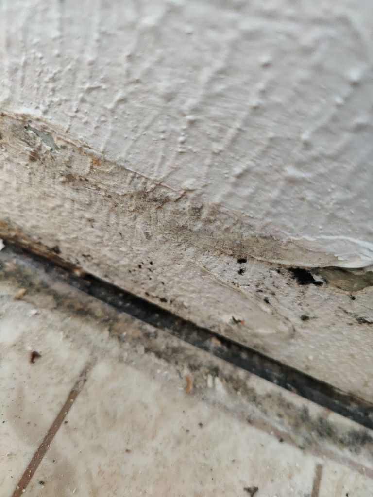 Mold Remediation  by Accountable Home Services