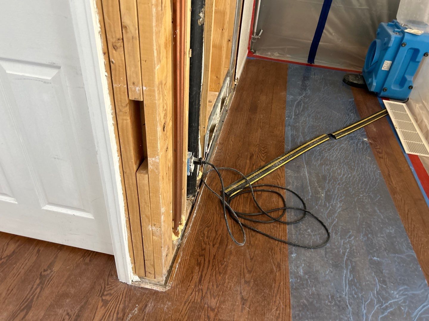 Mold Remediation by Accountable Home Services