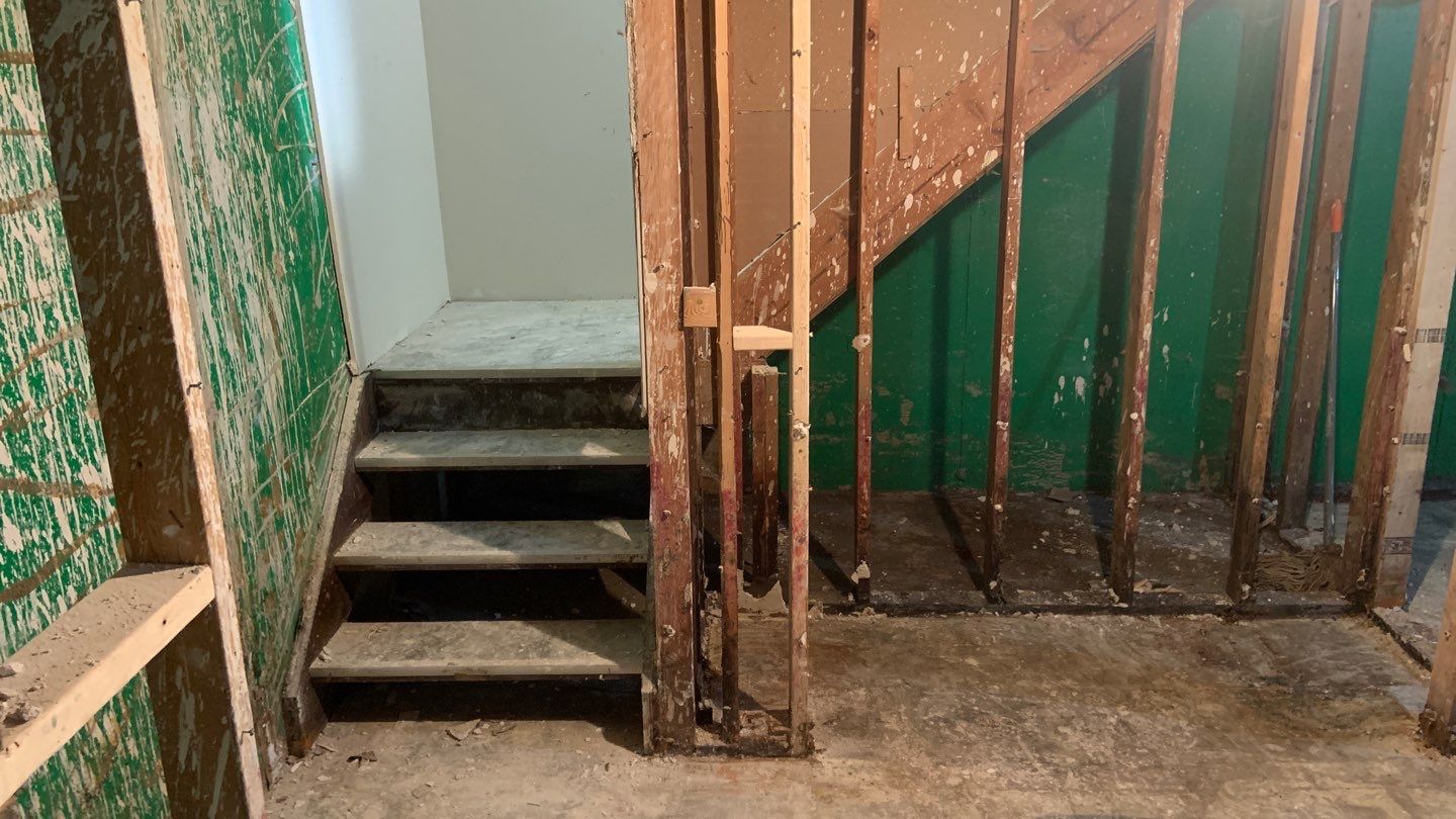 Grossly Contaminated Basement Mold by Chicagoland Water Medics