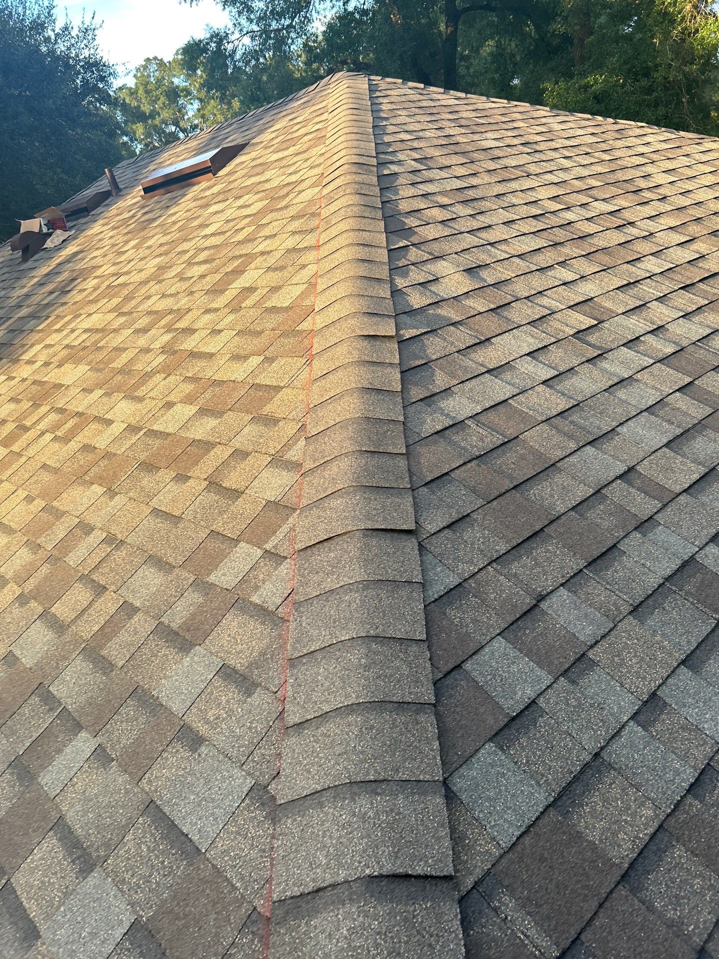 Asphalt Roof in Gainesville, FL by Brehm Roofing