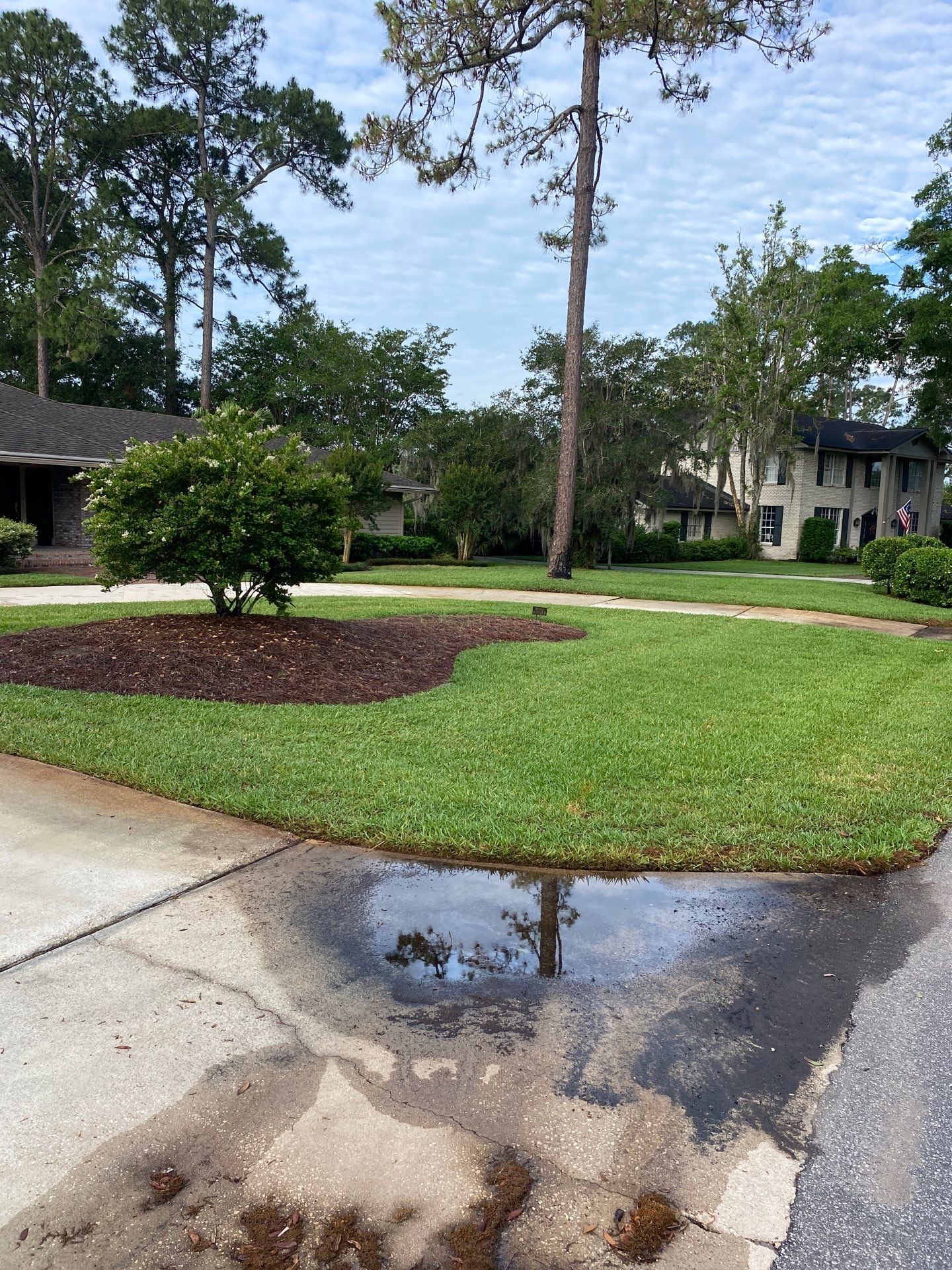 Deerwood Resident | Sod & Landscape Install by ProGreen Services