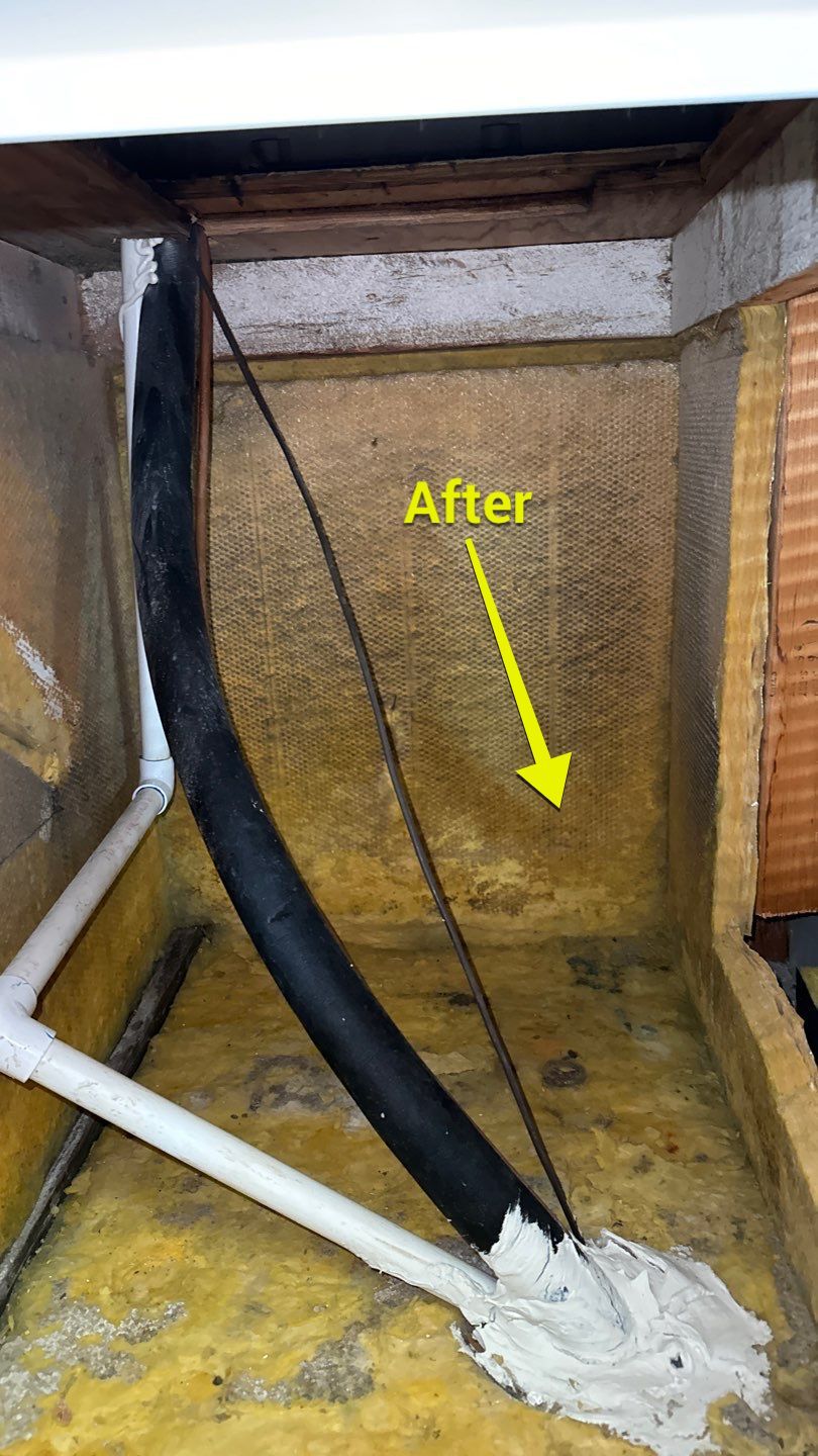 Air Duct Cleaning in Tavares by Hygienic Air, Inc