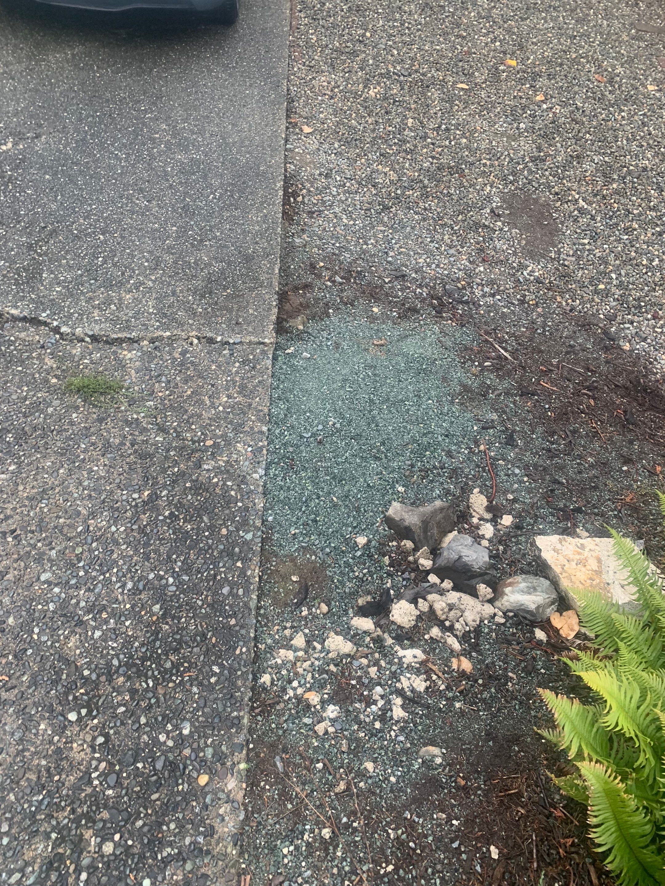 Raphil Haswega Concrete Driveway  by Jireh Asphalt & Concrete Inc 