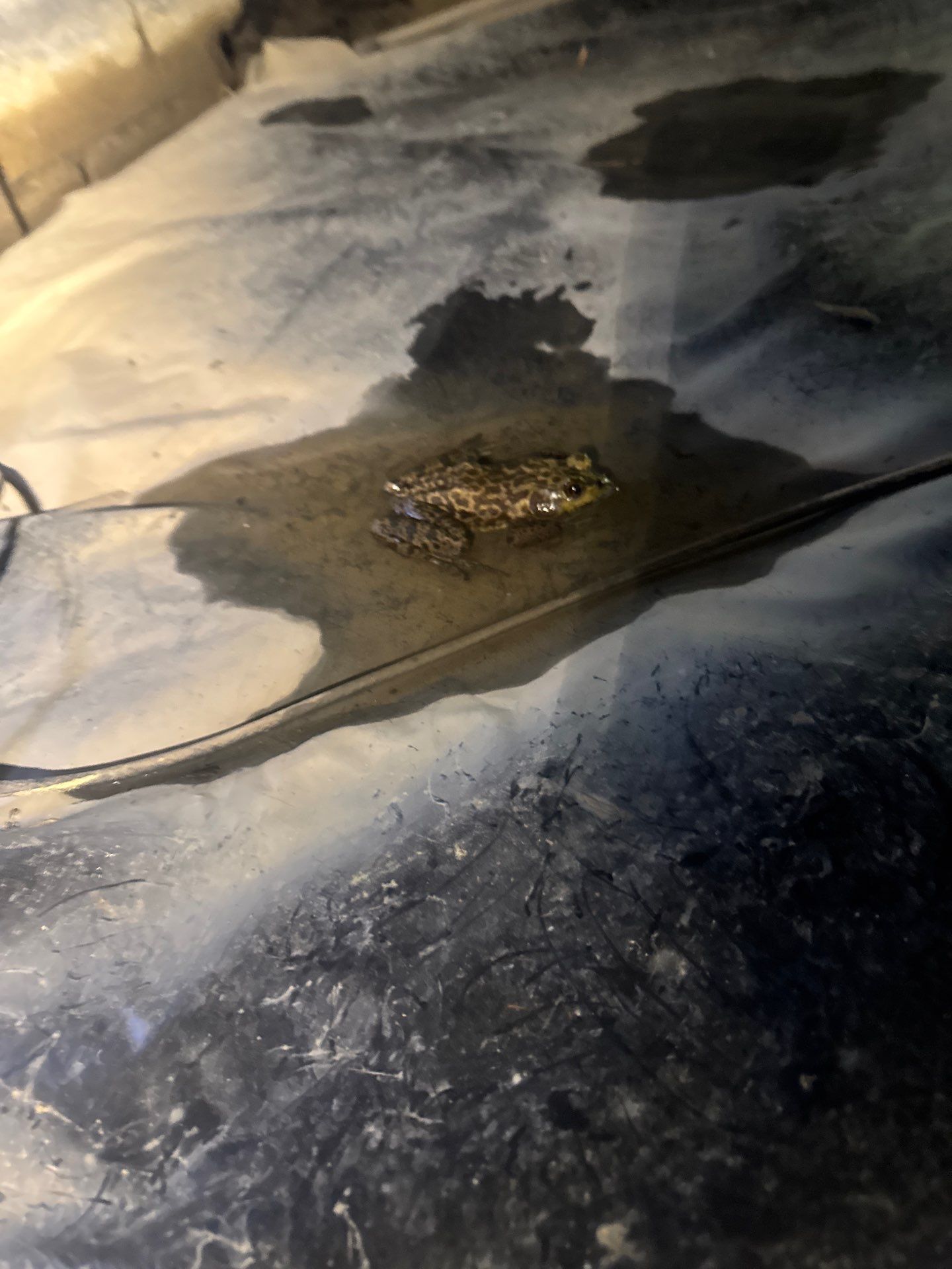 Project in Spring Grove by Patriot Crawl Space Repairs