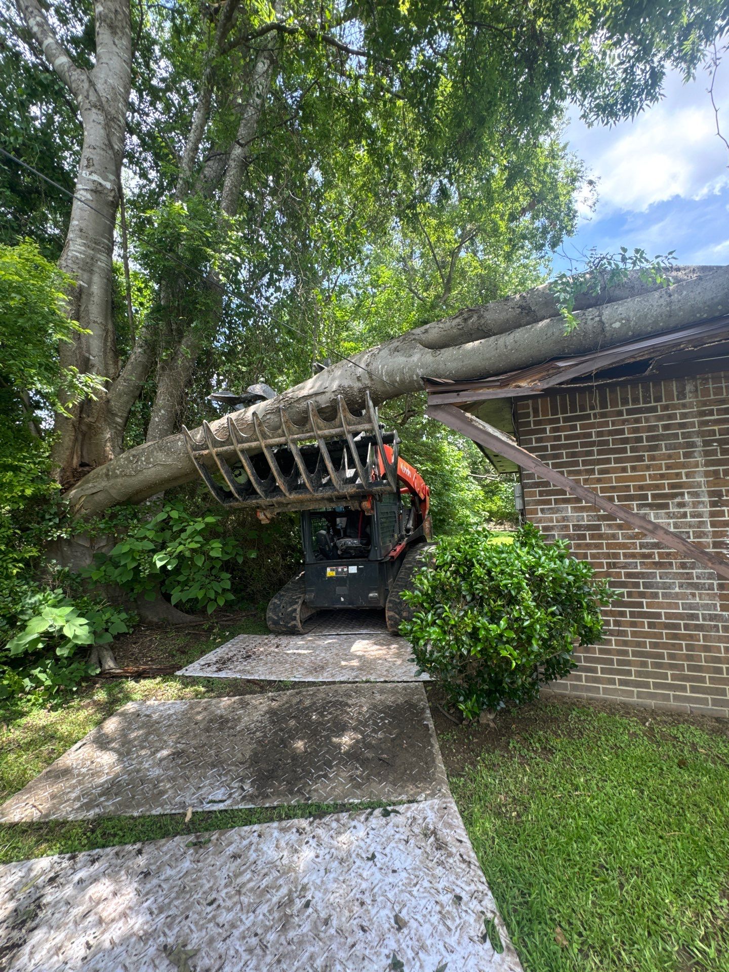 Crane-Assisted Emergency Removal by American Arbor
