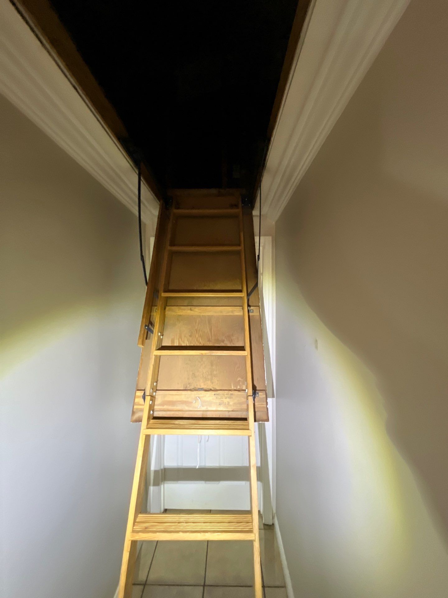 Blown-In Attic Insulation and Rodent Remediation in Canonsburg by Home Environment Solutions