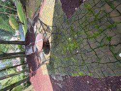 Power Washing in Hackettstown, NJ — Gallo Bros job photo