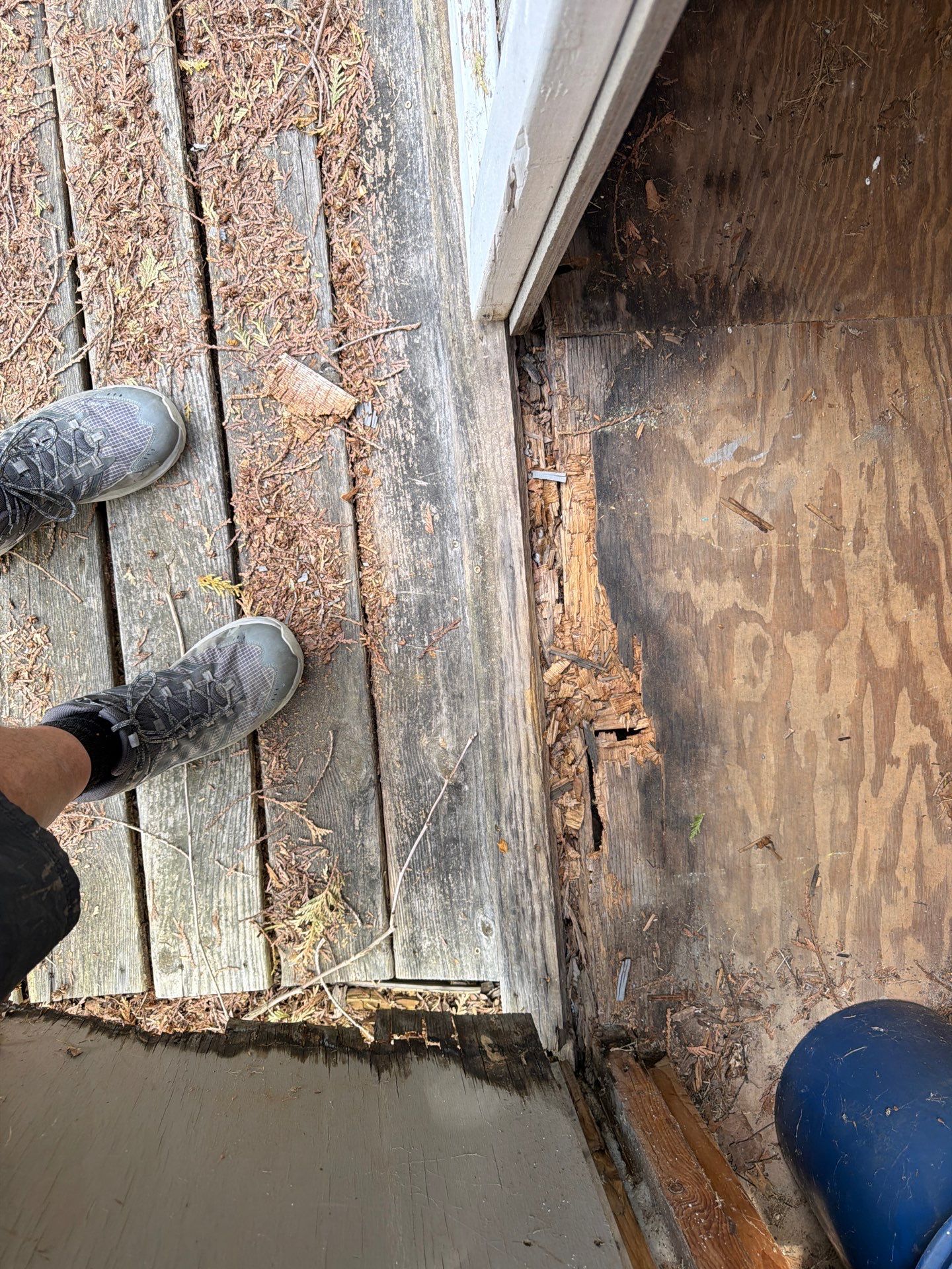 Shed Restoration with New Siding, Door Rebuild & Ramp Installation by Laser Focused Solutions LLC