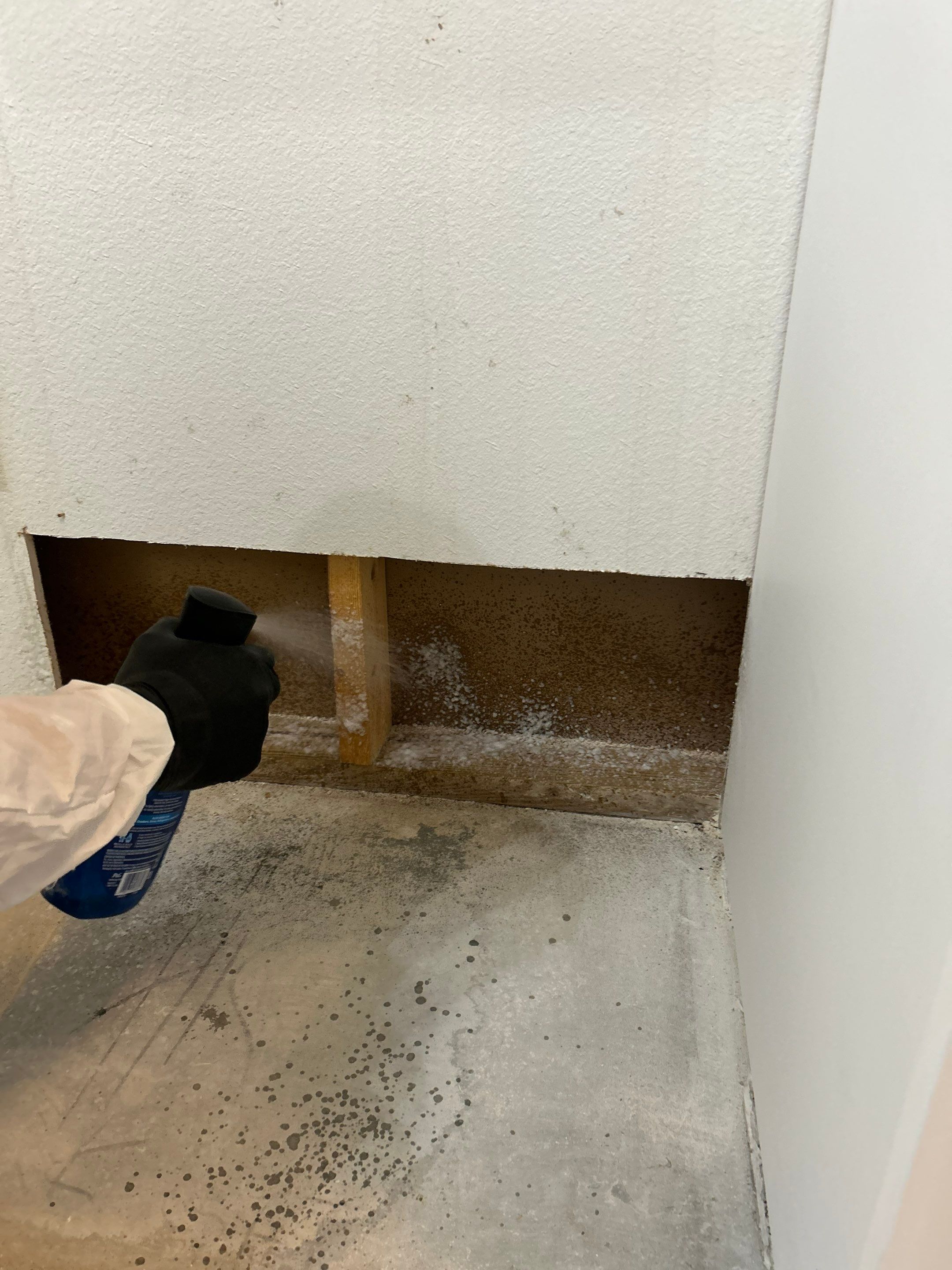 Project in Valrico by You Restorations LLC DBA YOU-Home